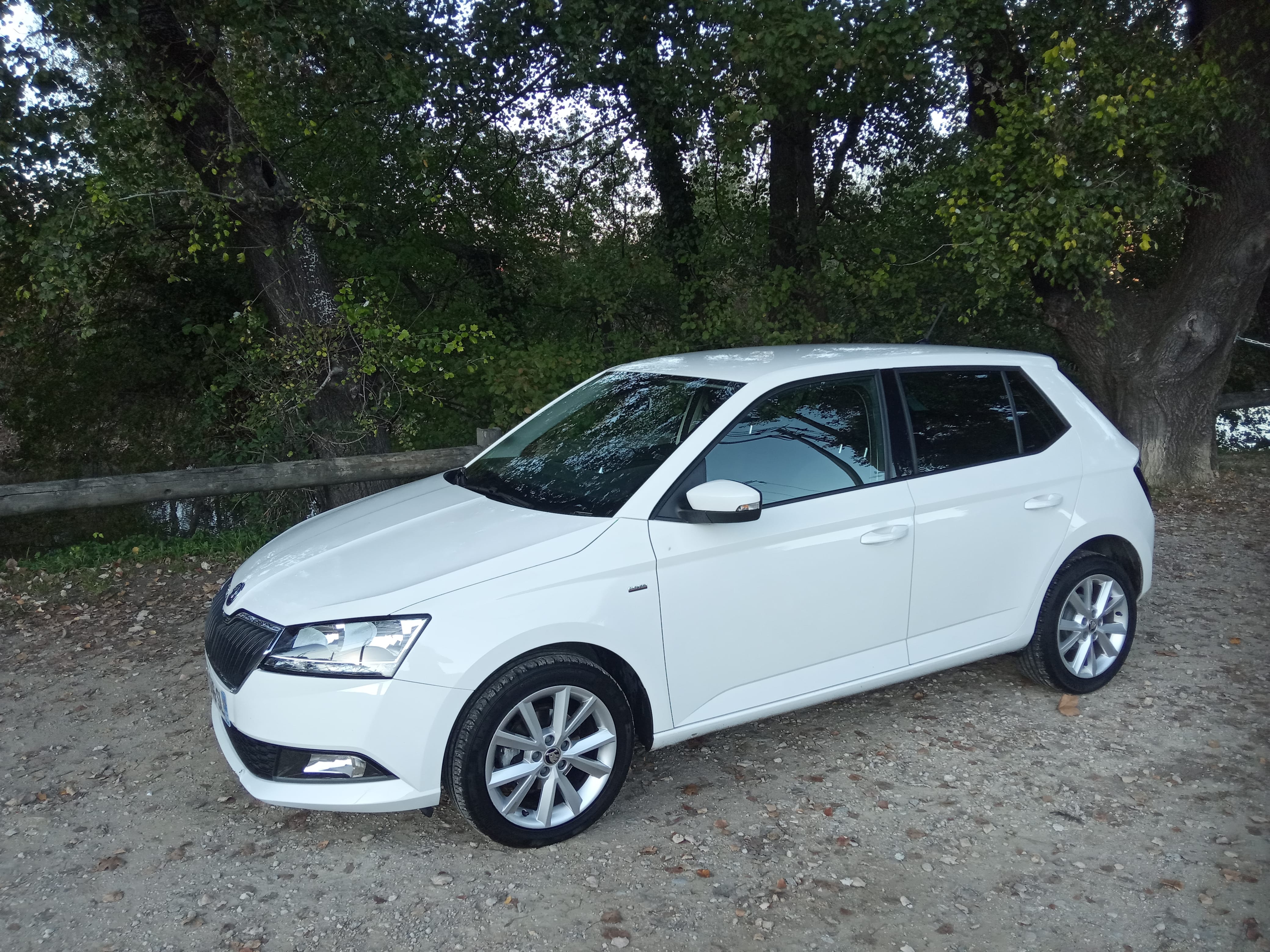 Skoda Fabia, 2019, Essence 98