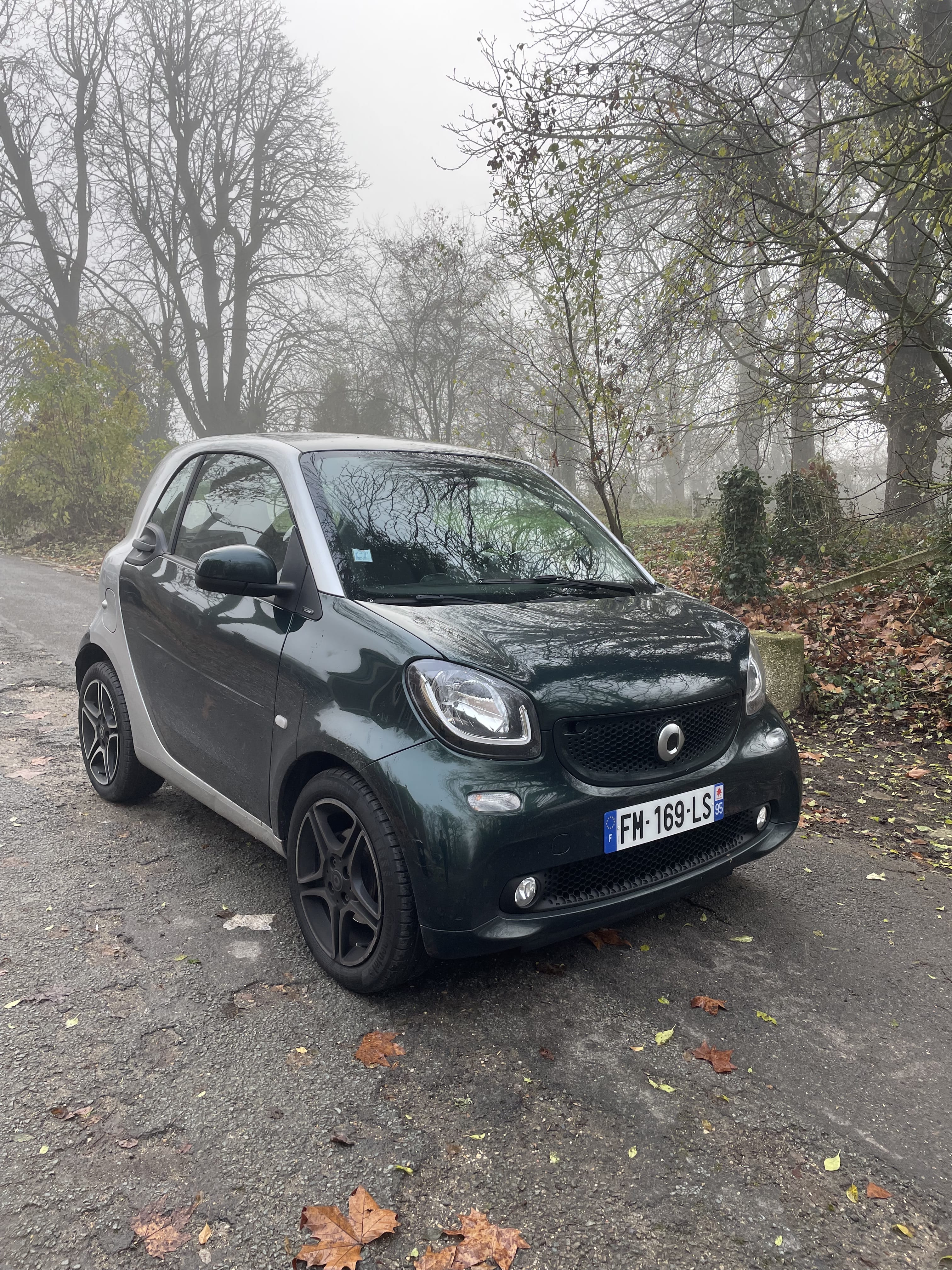Smart Fortwo Coupé, 2019, Essence 95, automatique