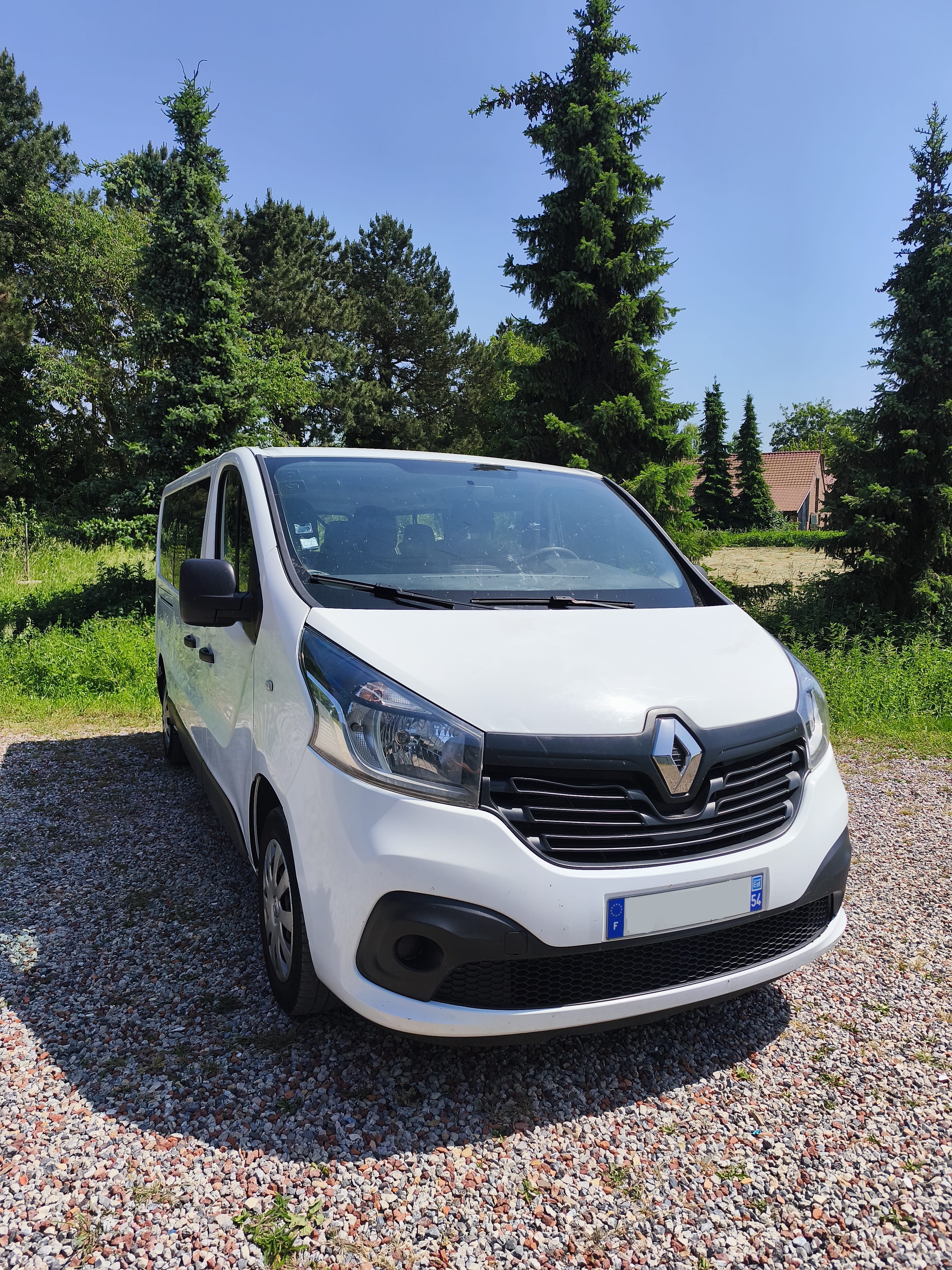 Renault Trafic Passenger, 2018, Diesel, 9 places et plus