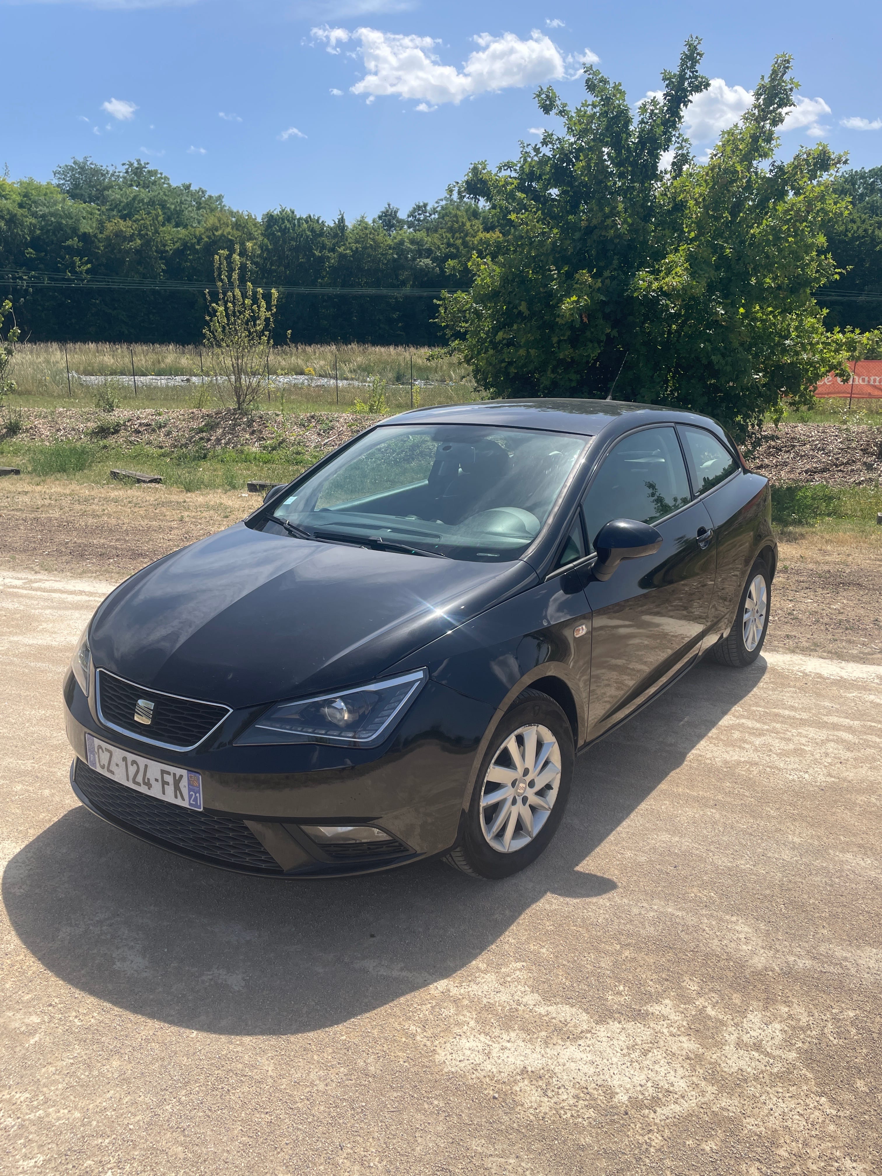 Seat Ibiza, 2013, Diesel