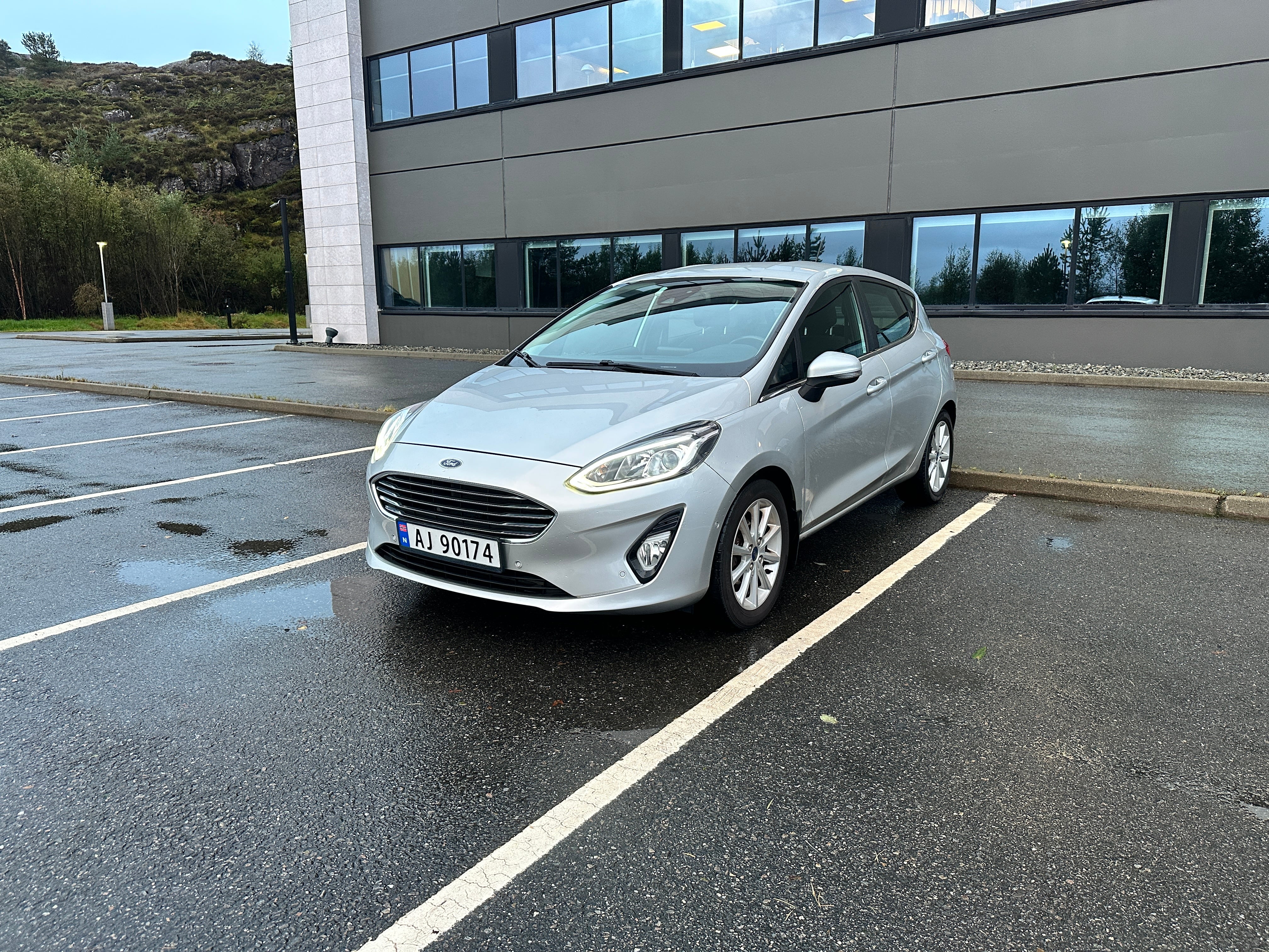 Ford Fiesta, 2019, Blyfri 95