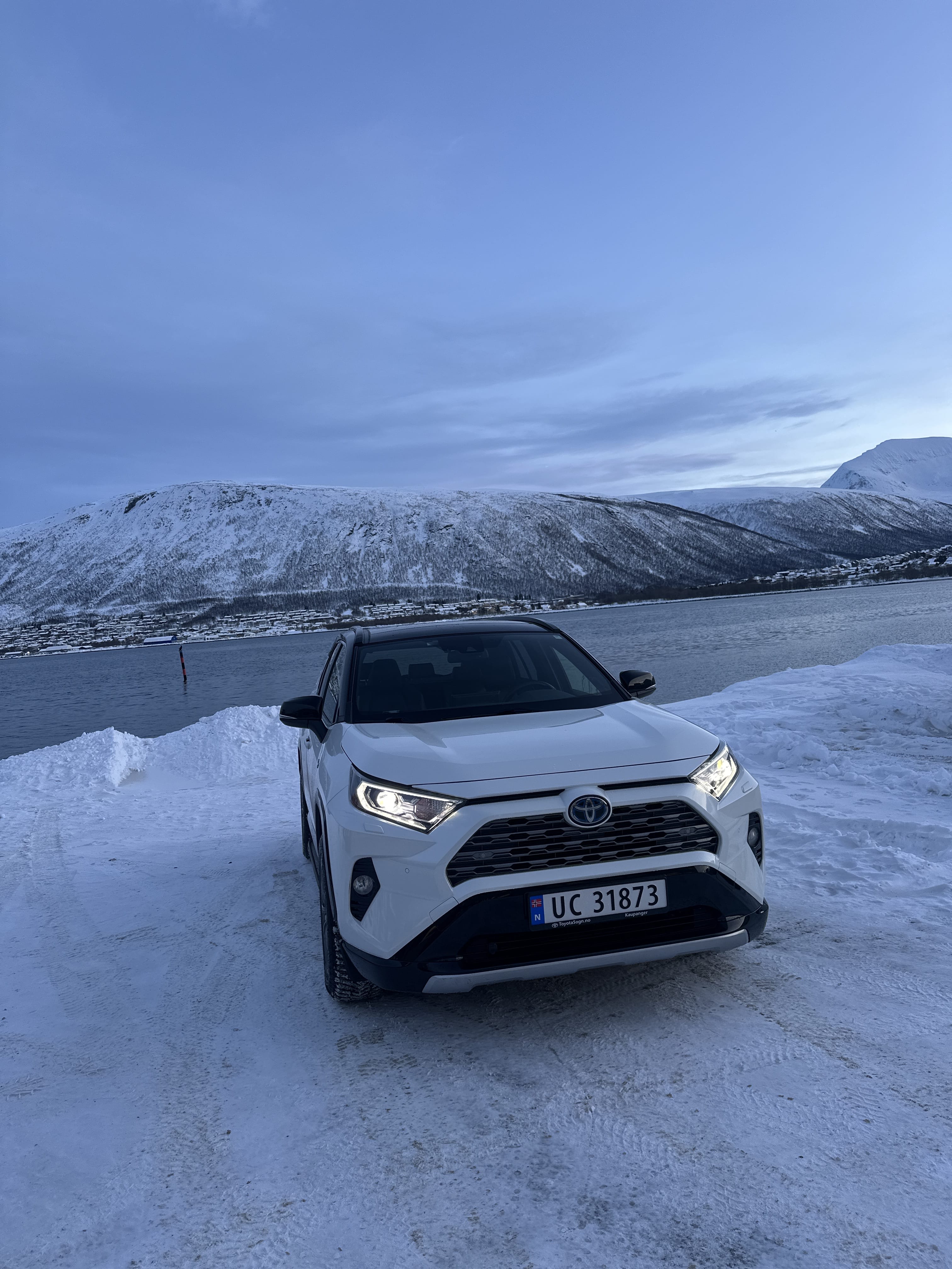 Toyota RAV 4 Hybrid, 2019, Blyfri 95, automatisch