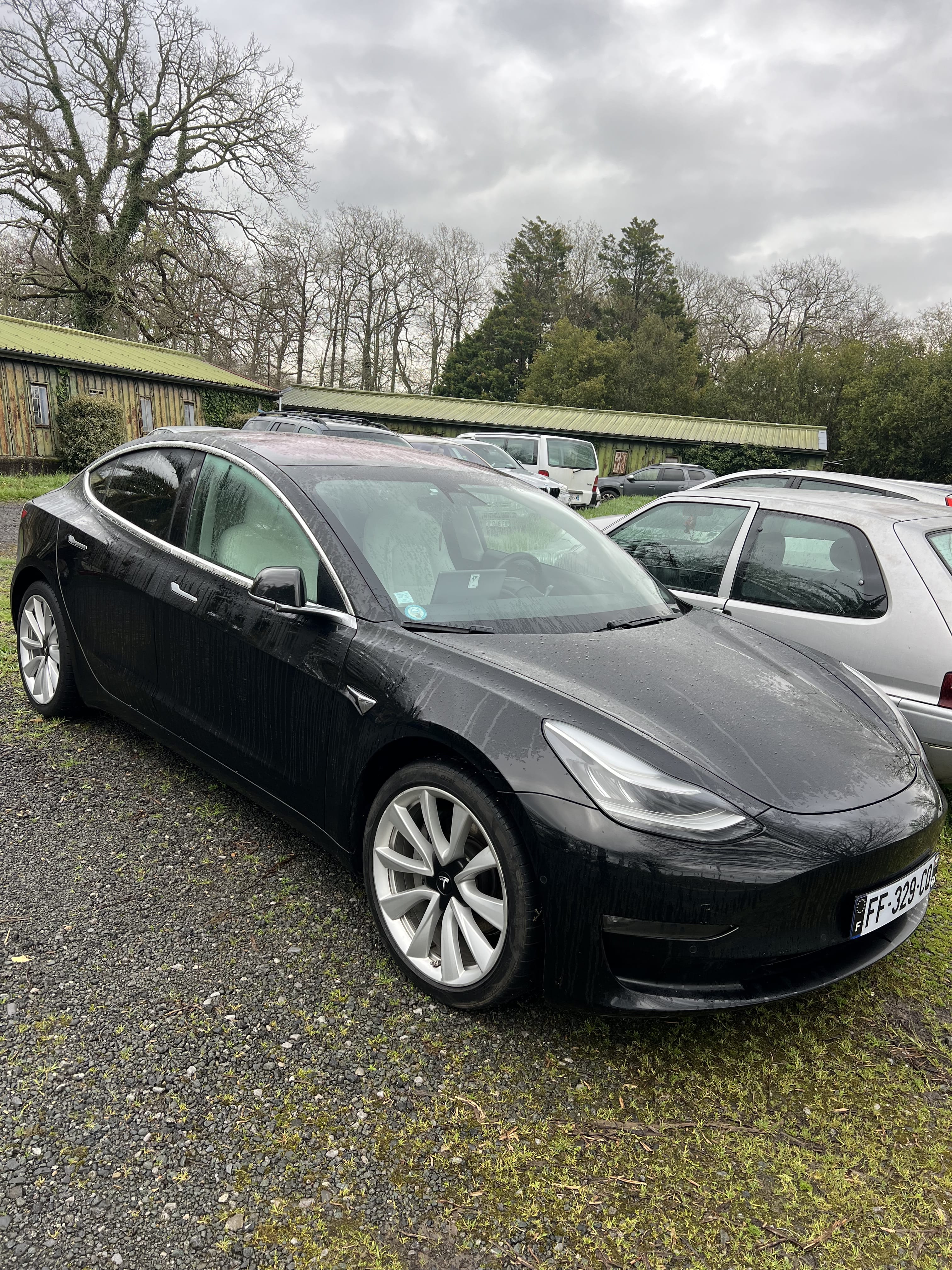 Tesla Model 3 Long Range, 2019, Électrique, automatique
