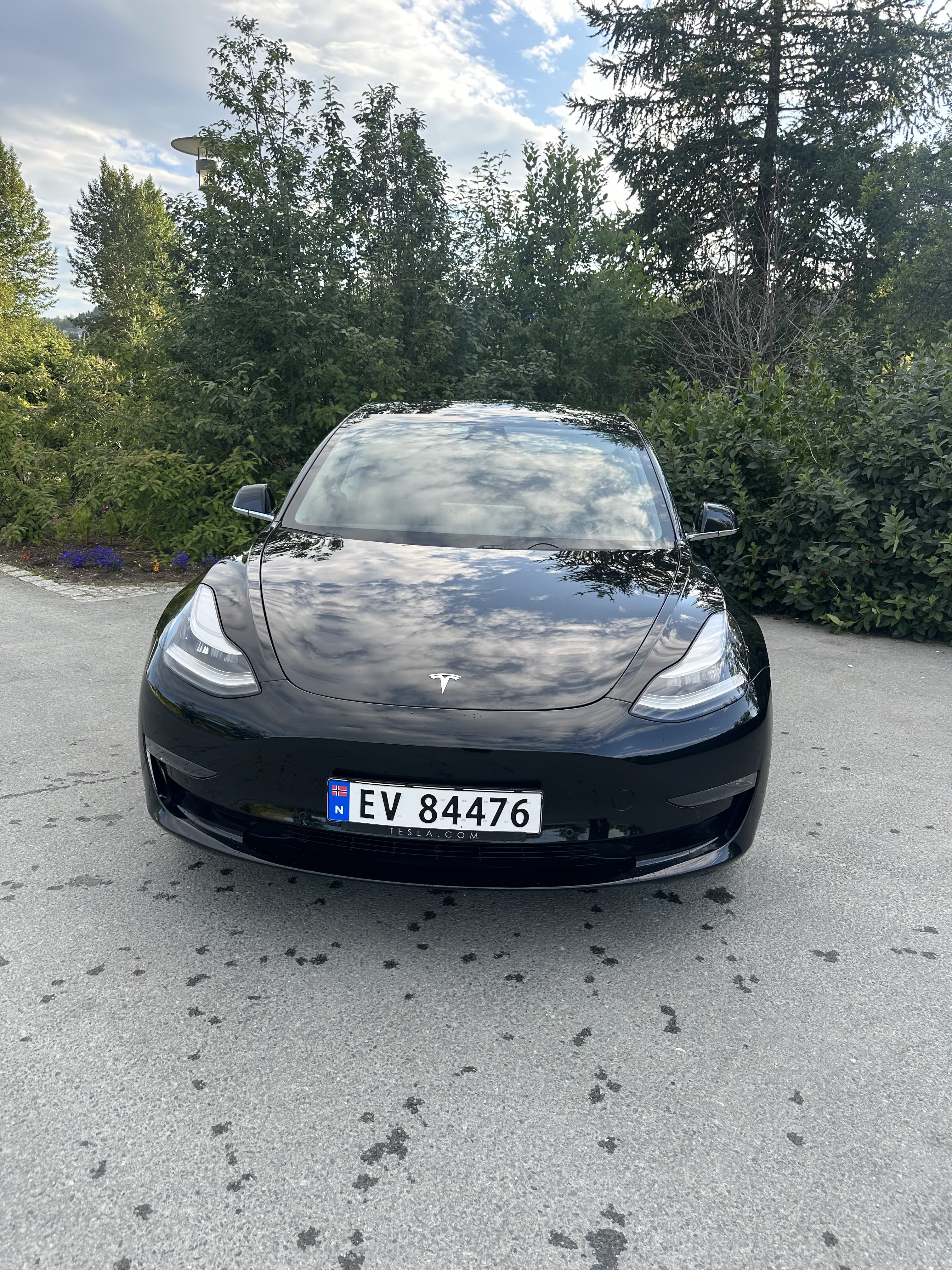 Tesla Model 3 Standard Range Plus