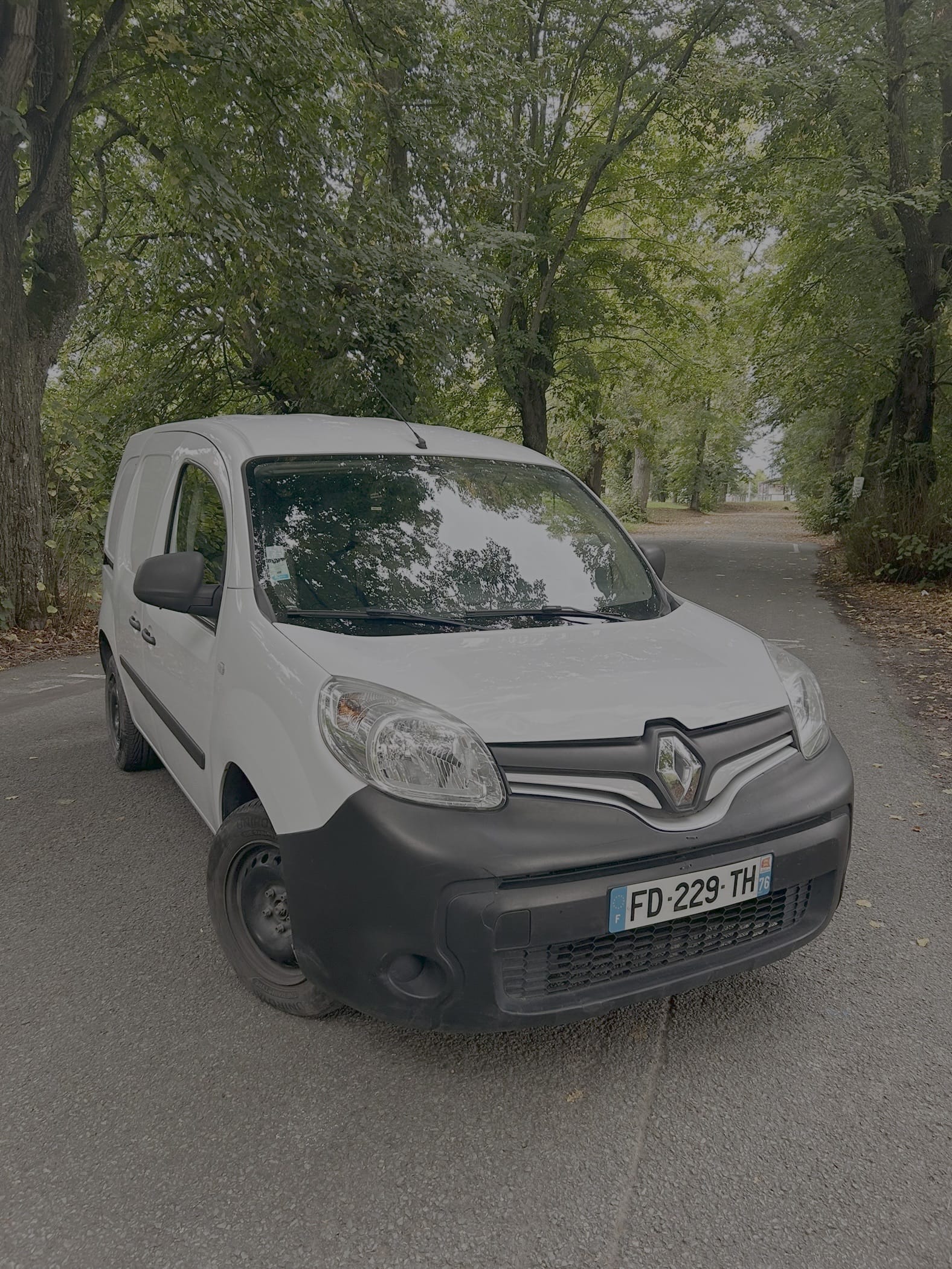 Renault Kangoo Express, 2019, Diesel