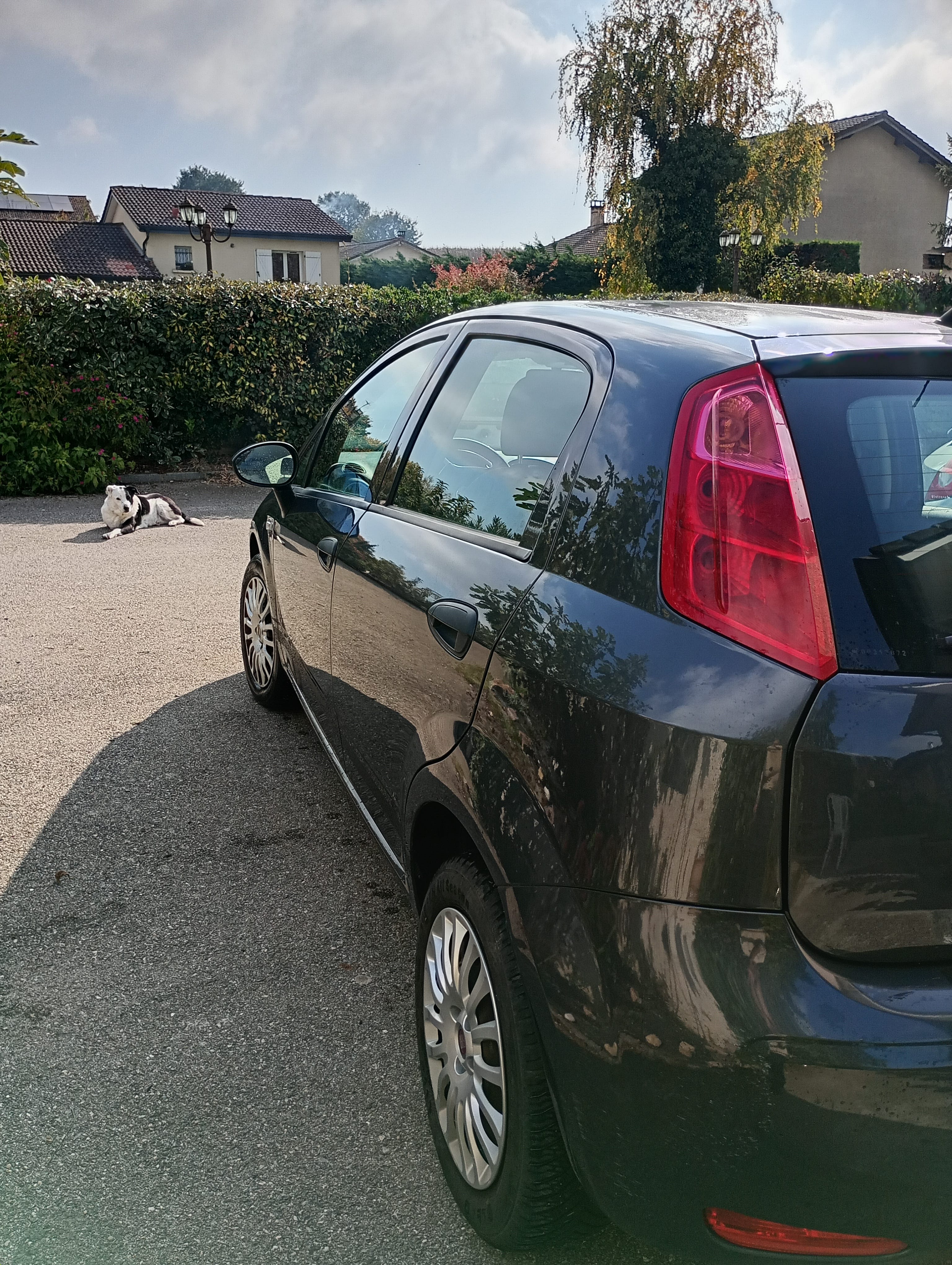 Fiat Punto avec GPS