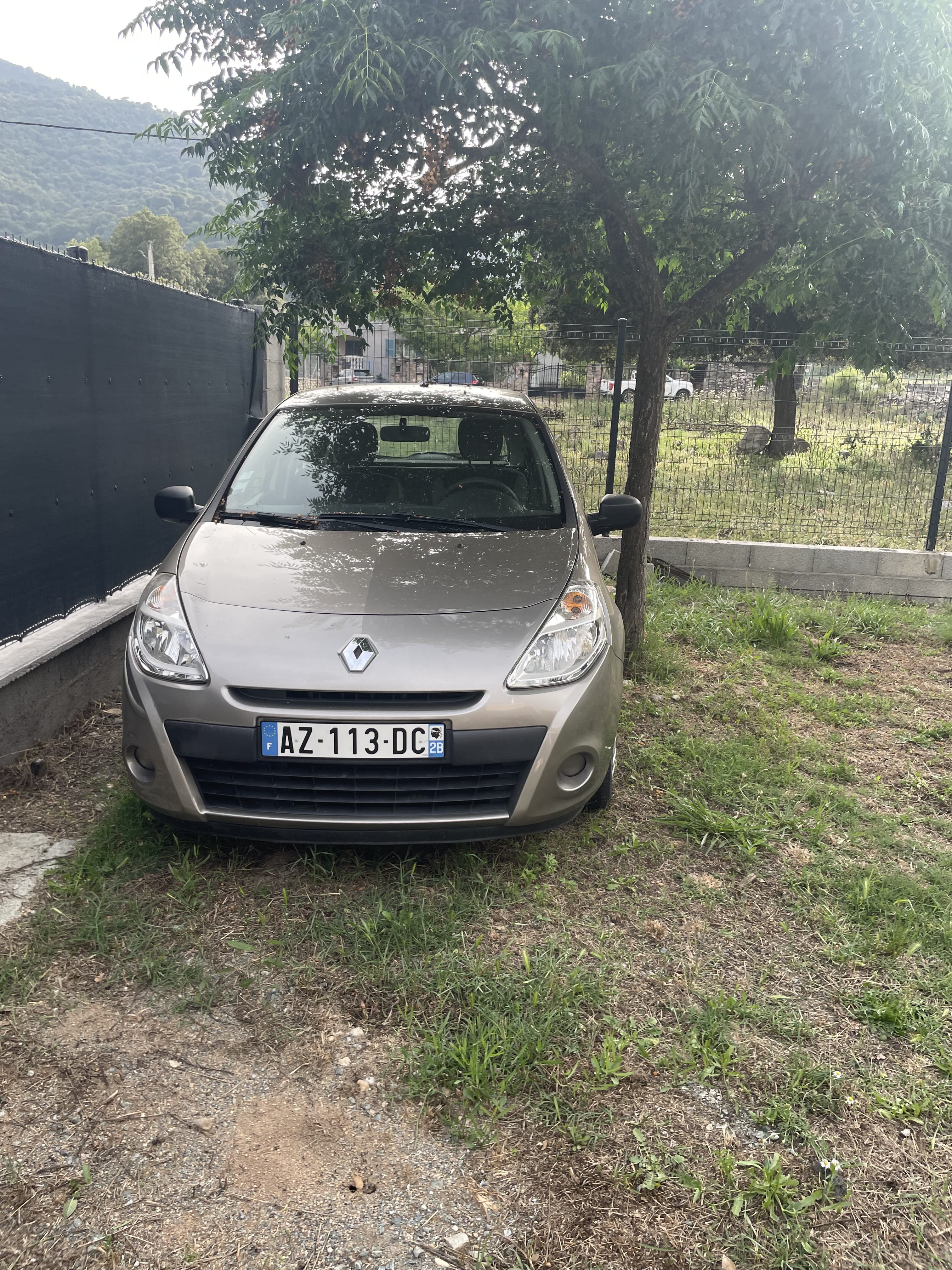 Renault Clio, 2010, Essence 98