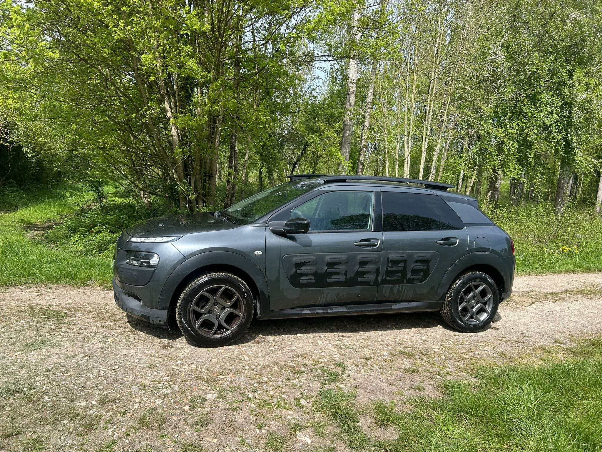 Citroen C4 Cactus avec Climatisation