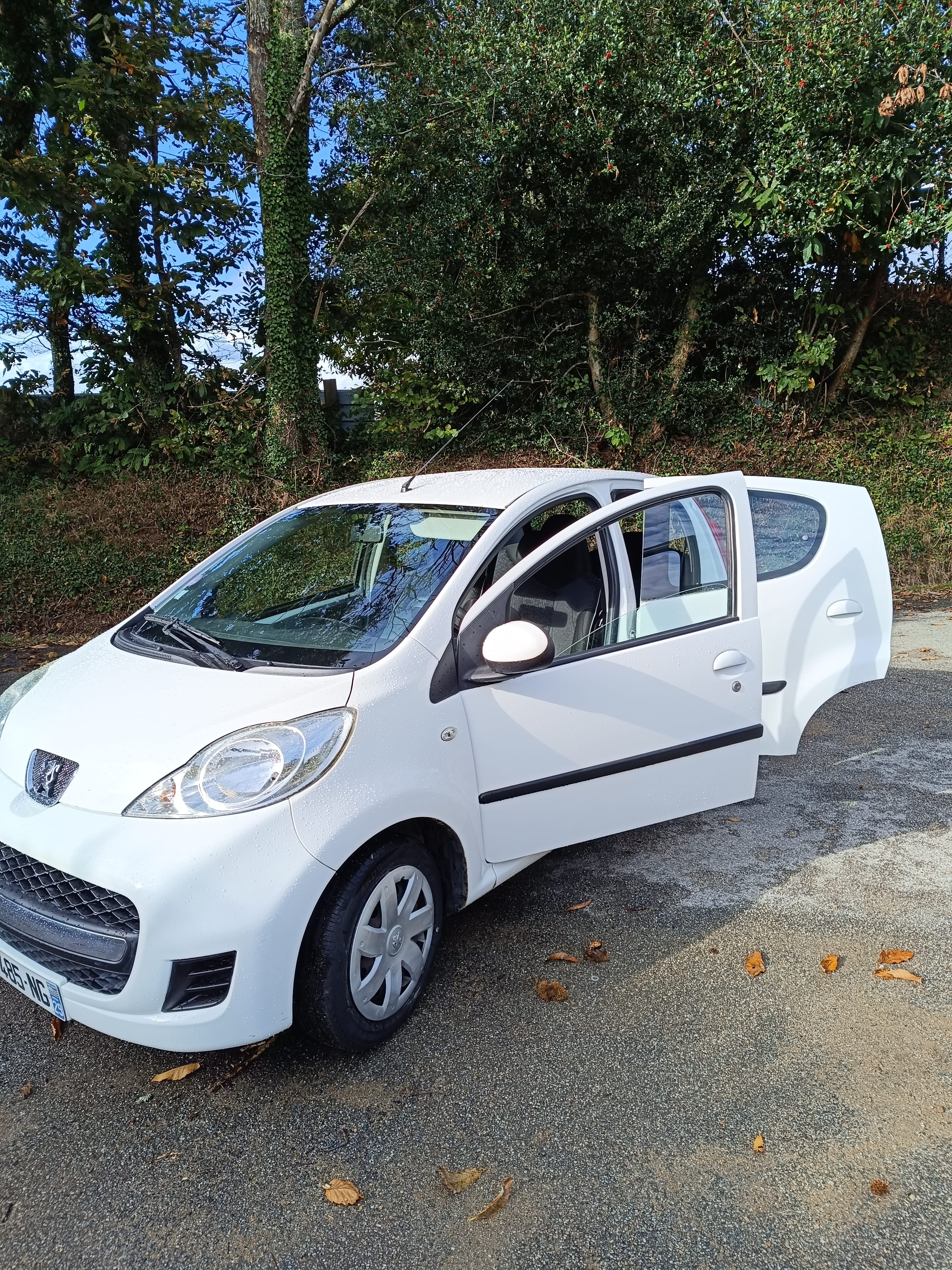Peugeot 107 1.0 essence, 2011, Essence 98