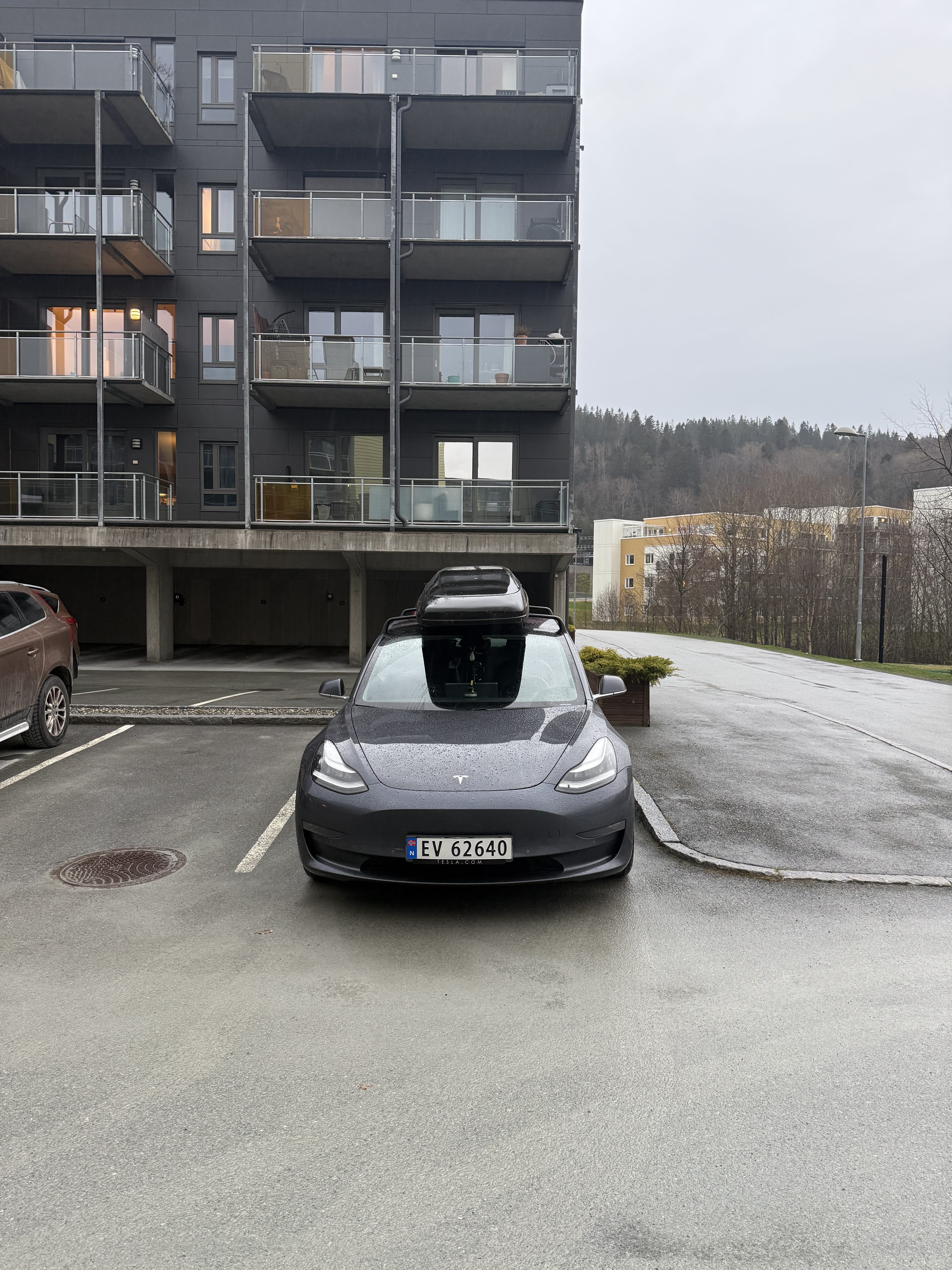 Tesla Model 3 Long Range med Bluetooth audio