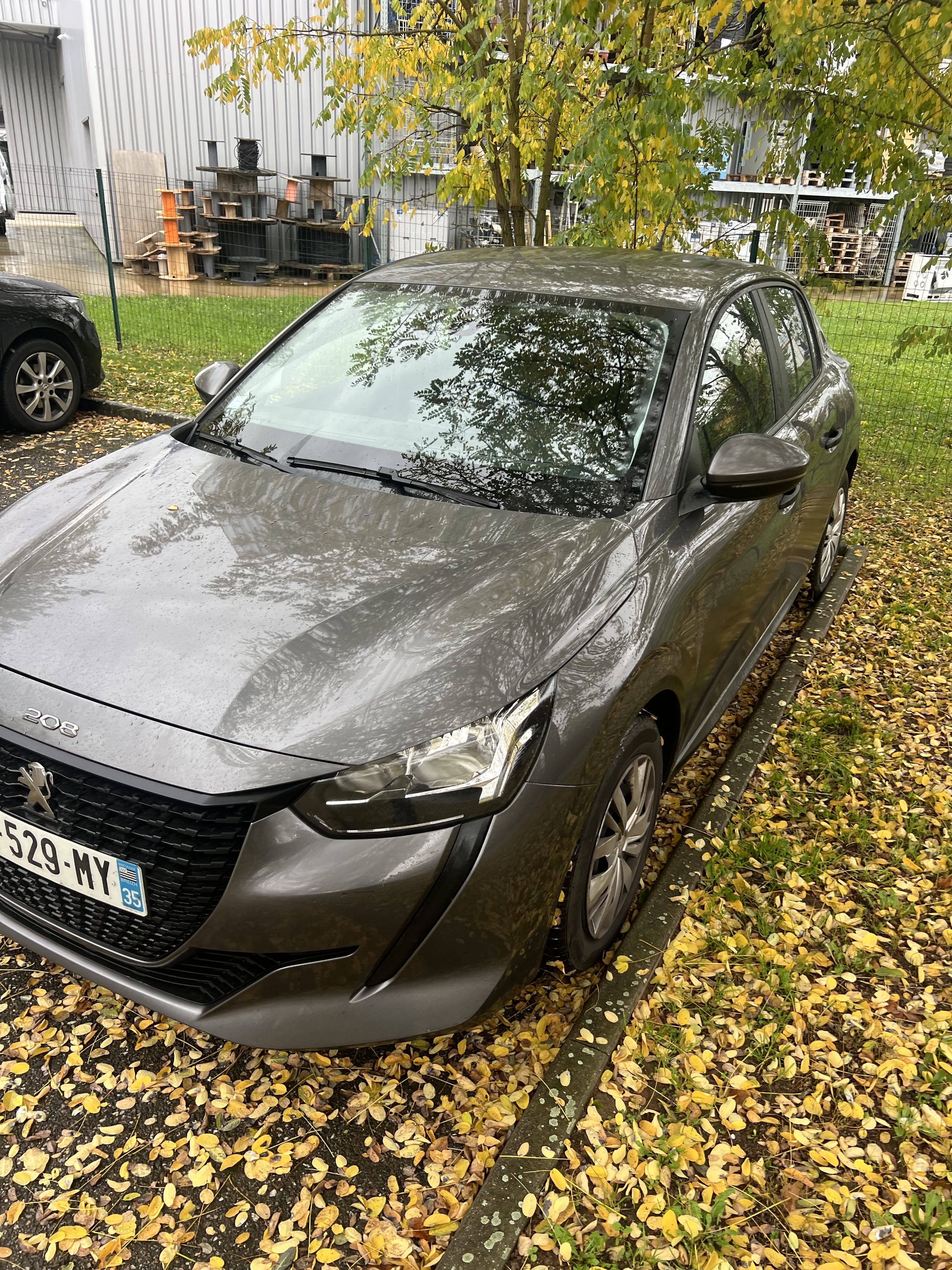 Peugeot 208 avec Régulateur de vitesse