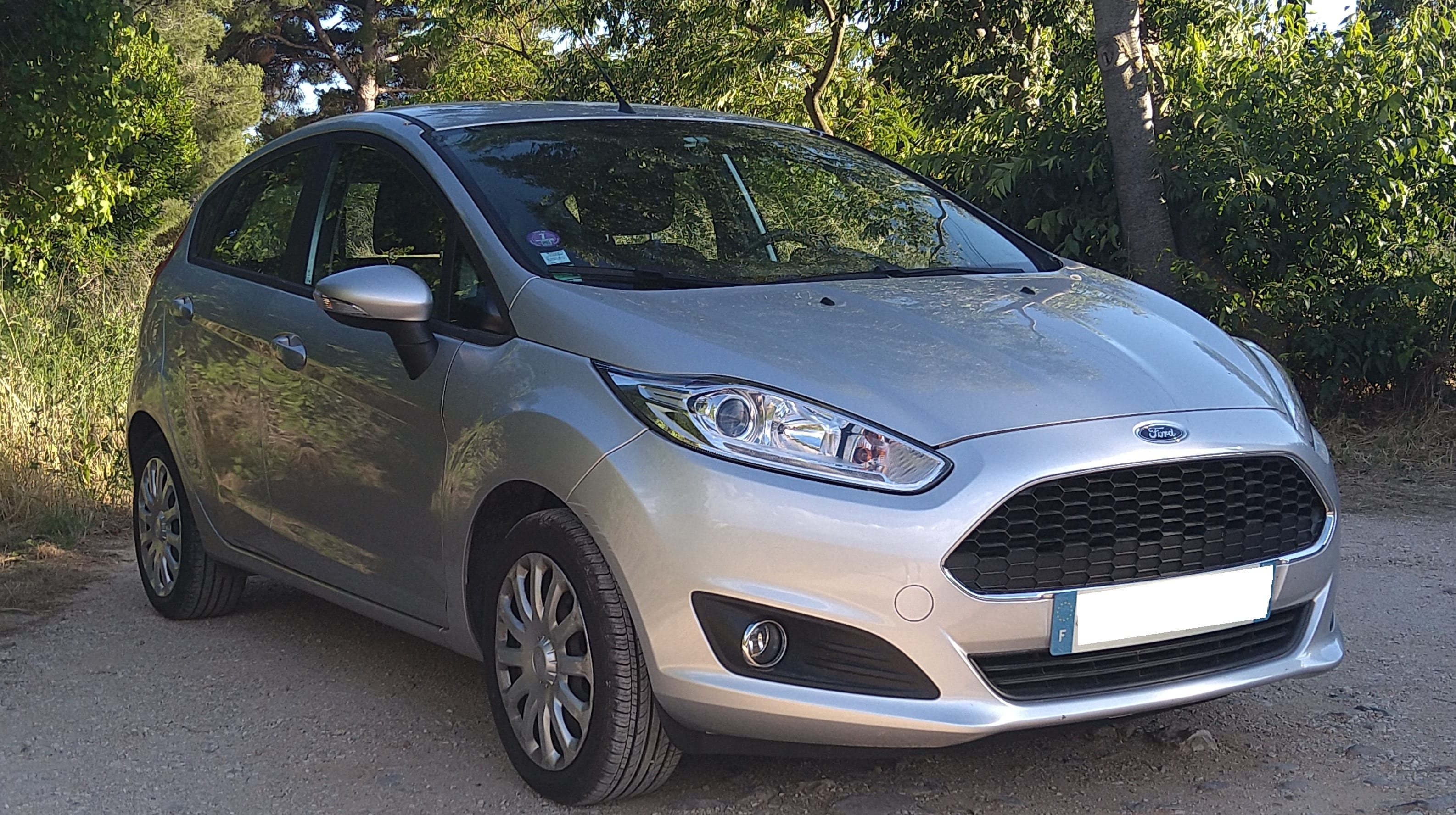 Ford Fiesta, 2016, Essence 95