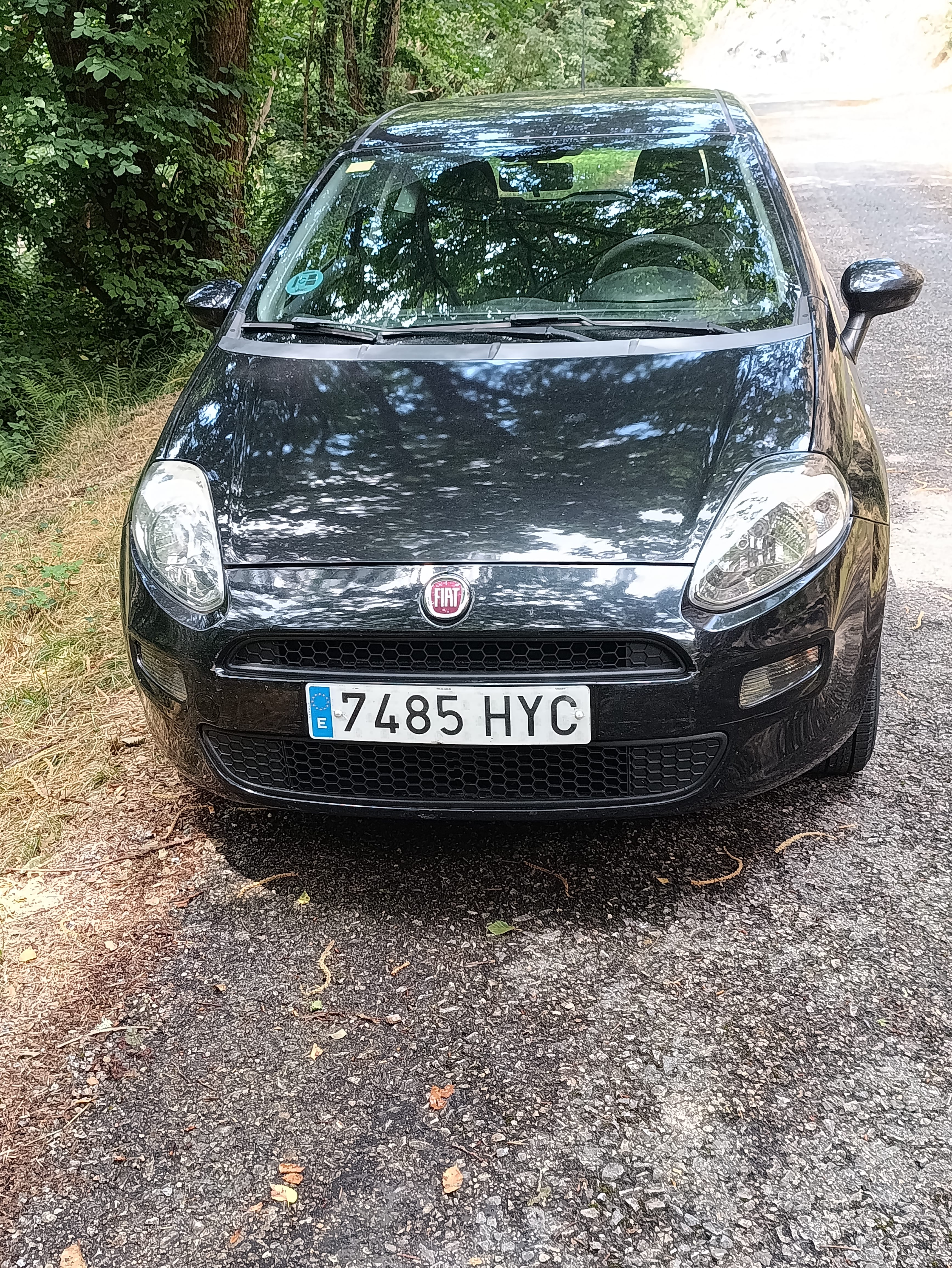 Fiat Punto, 2014, Gasolina 95