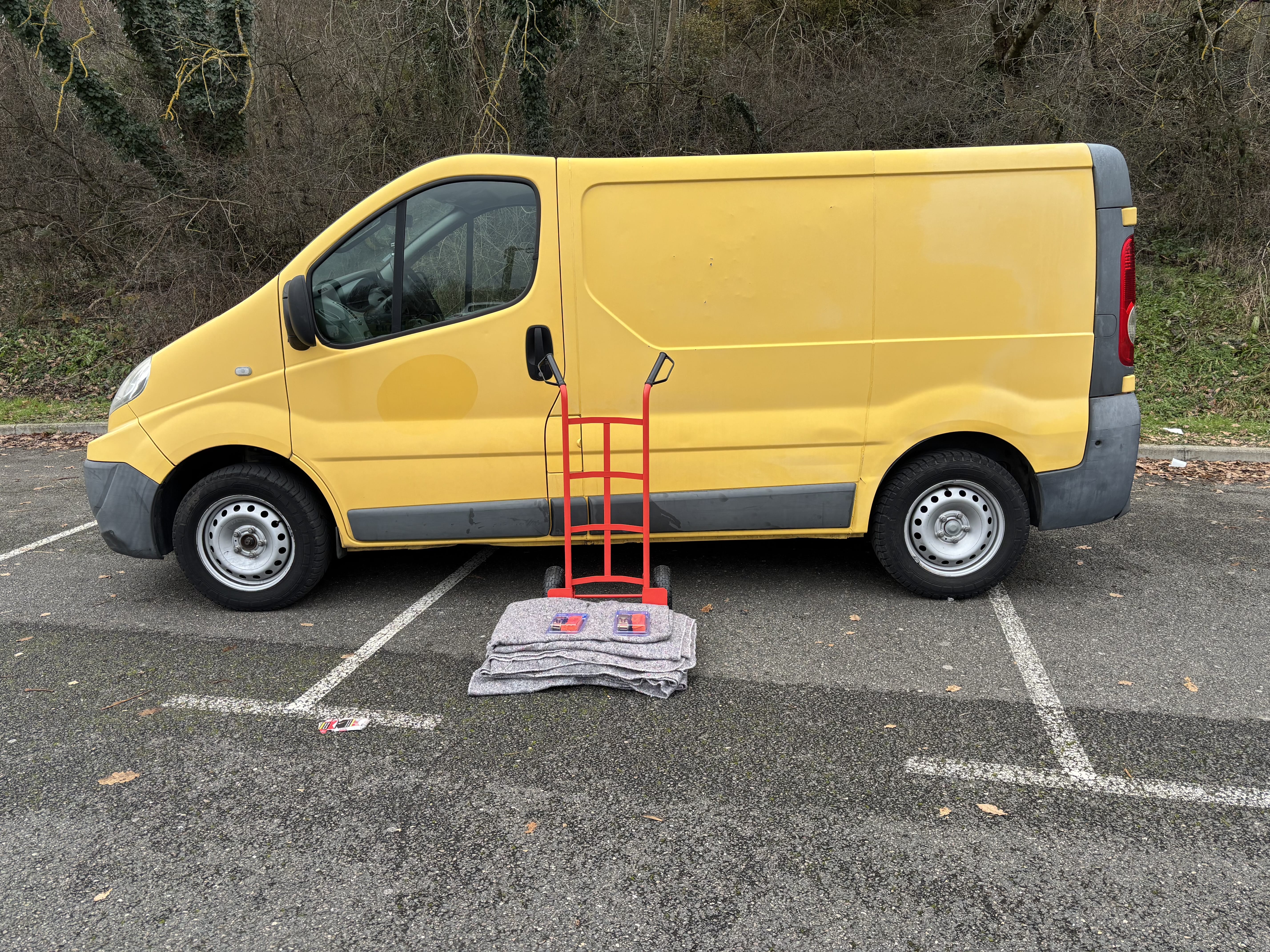 Renault Trafic 6M3 + Diable 2 avec Audio Bluetooth