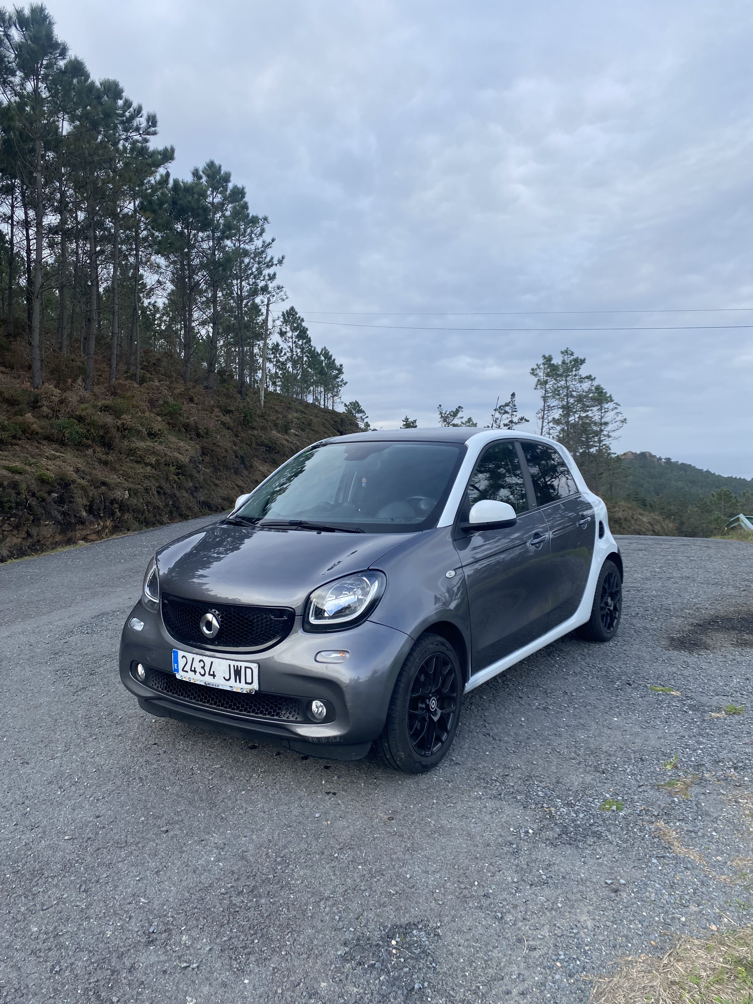 Smart Forfour con Control de velocidad