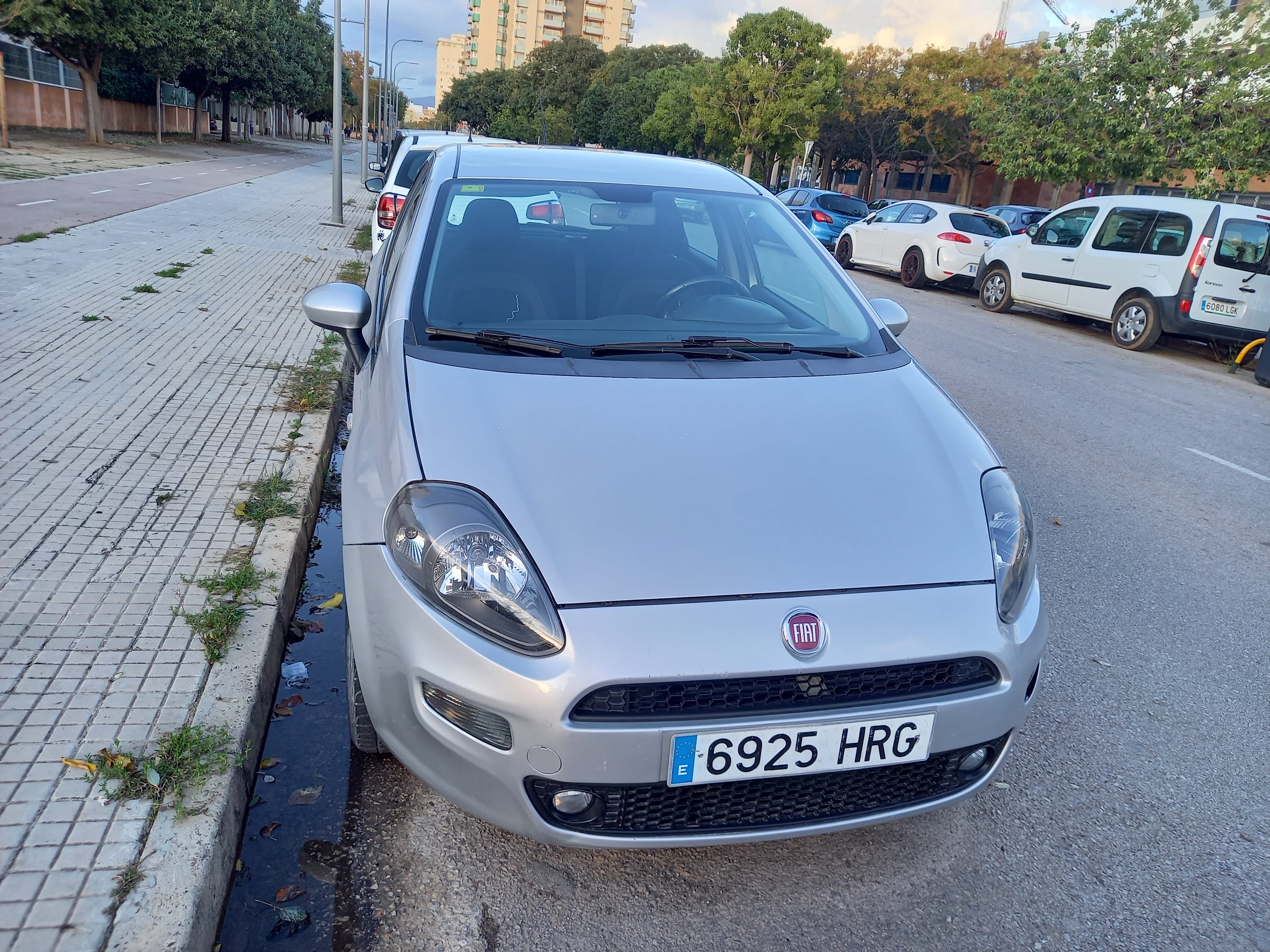 Fiat Punto 1.4 , servicio aeropuerto gratis, 2013, Gasolina 95