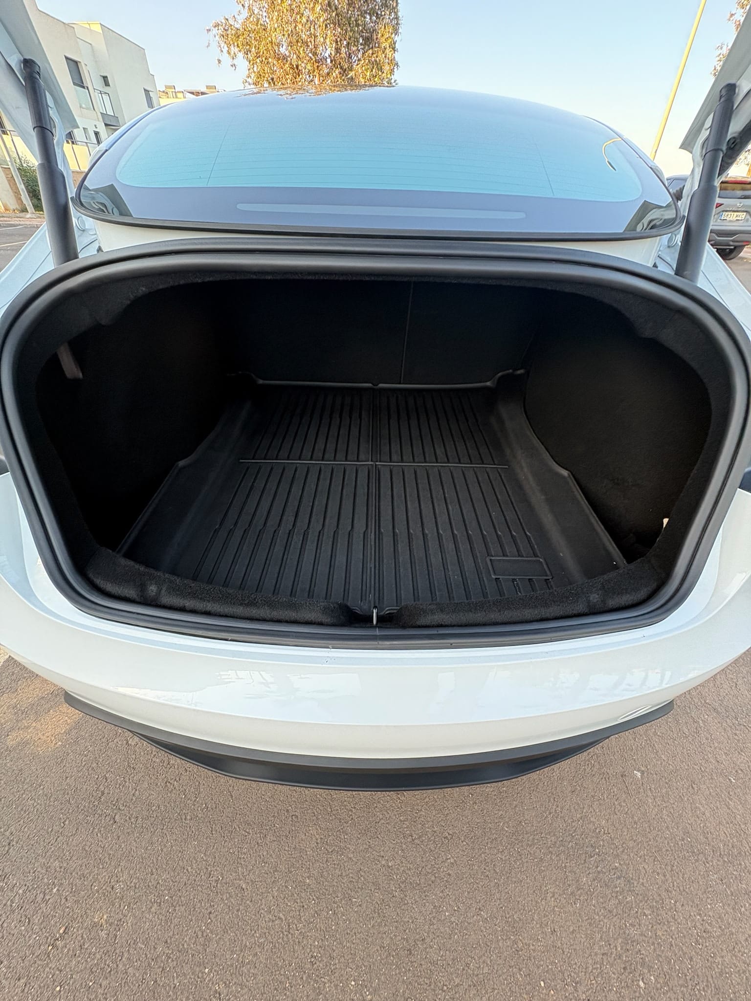 Tesla Model 3 Standard Range Plus con Dashcam
