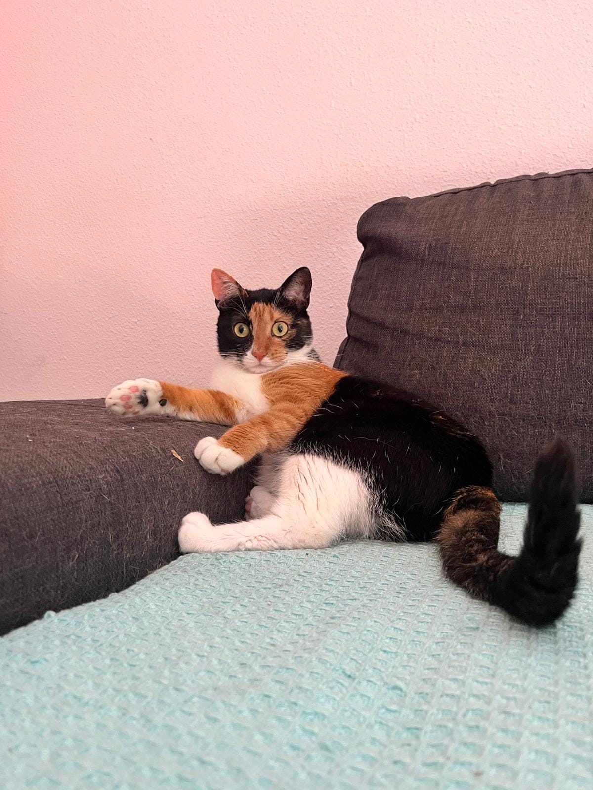 Sara