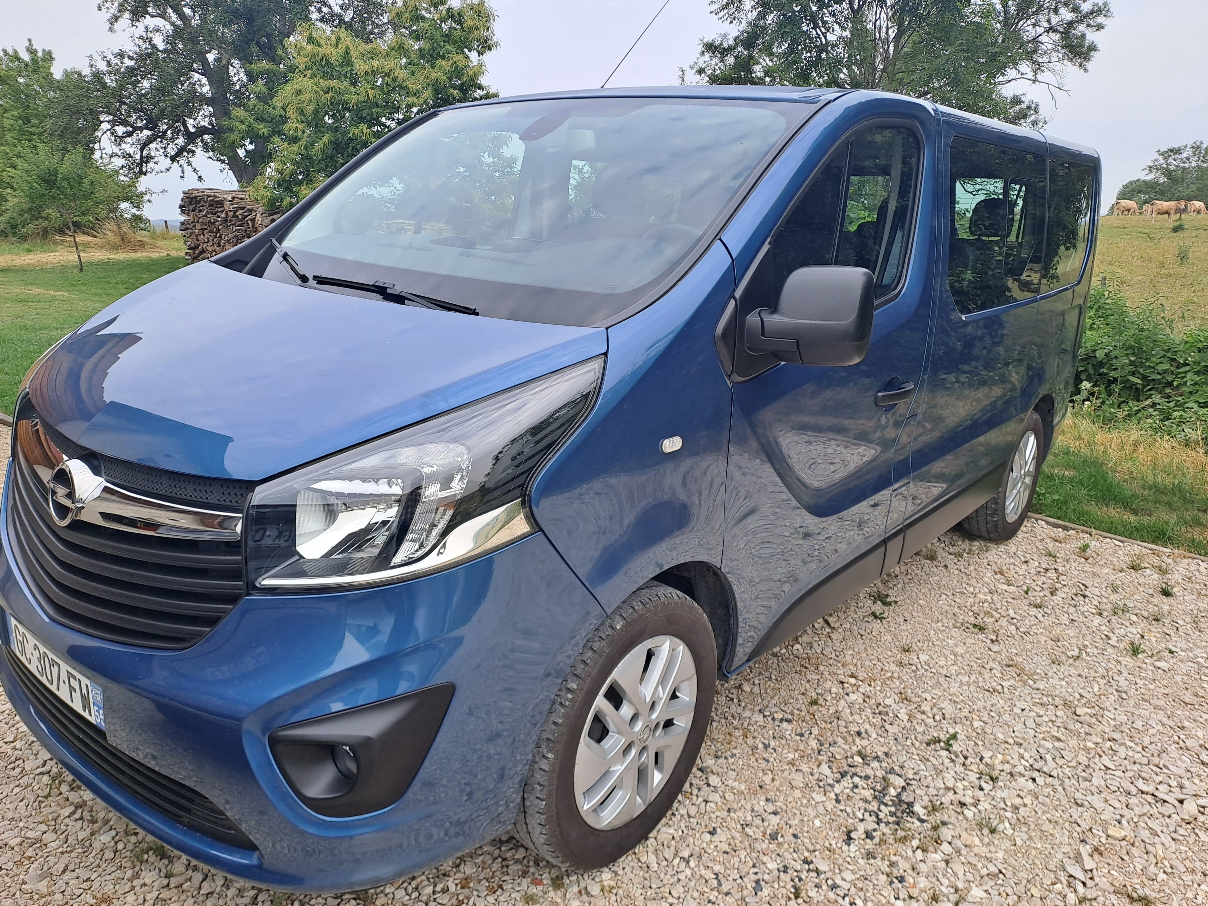Opel Vivaro Combi, 2017, Diesel, 8 places