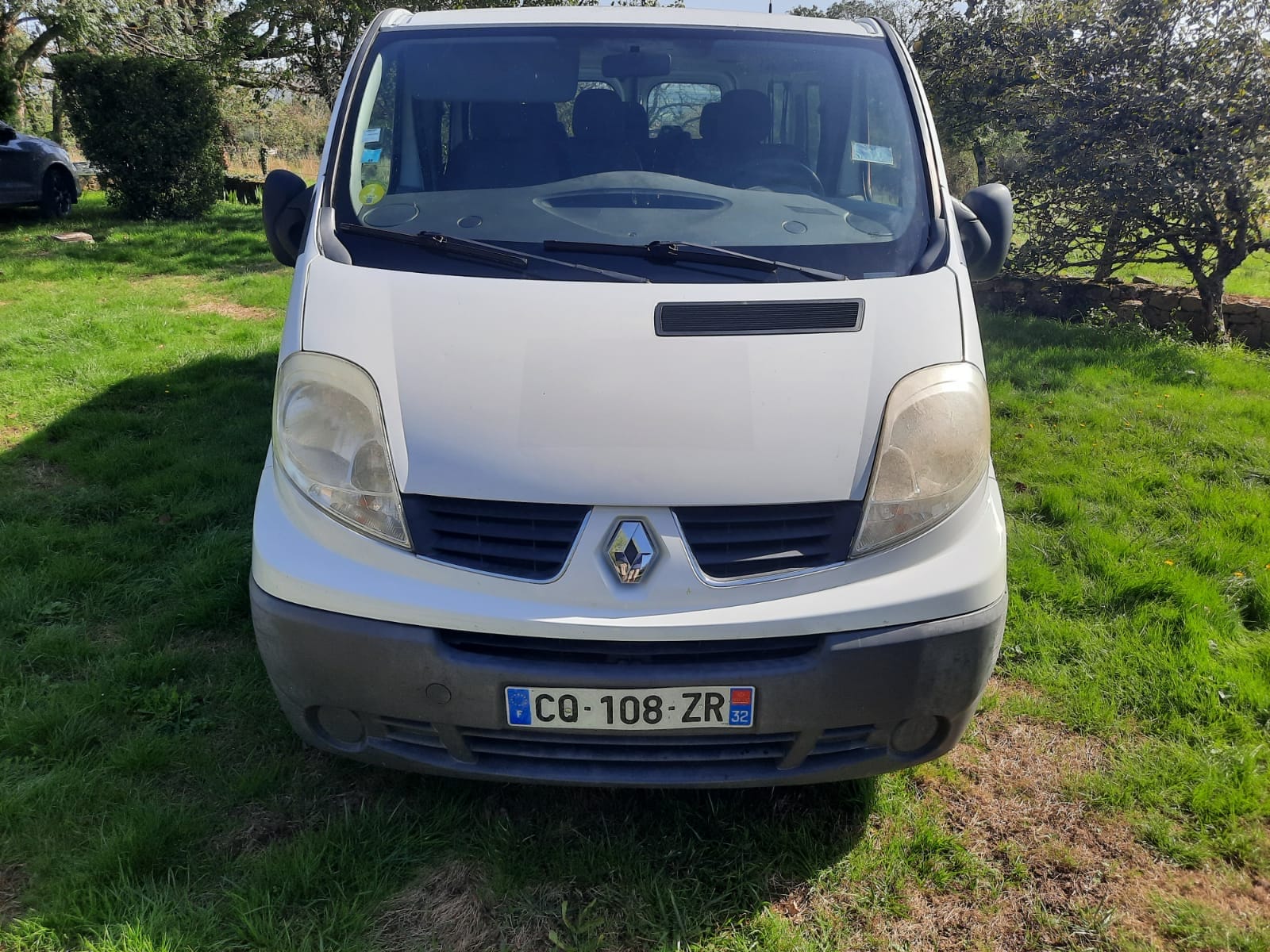 Renault Trafic, 2013, Diesel, 9 places et plus