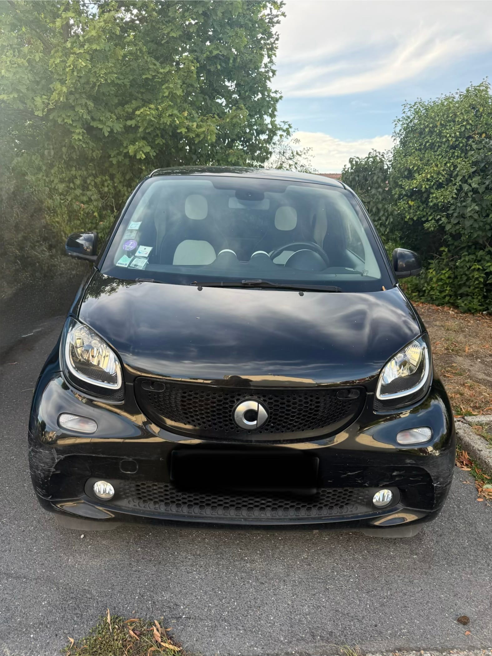 Smart Fortwo Passion, 2014, Essence 95