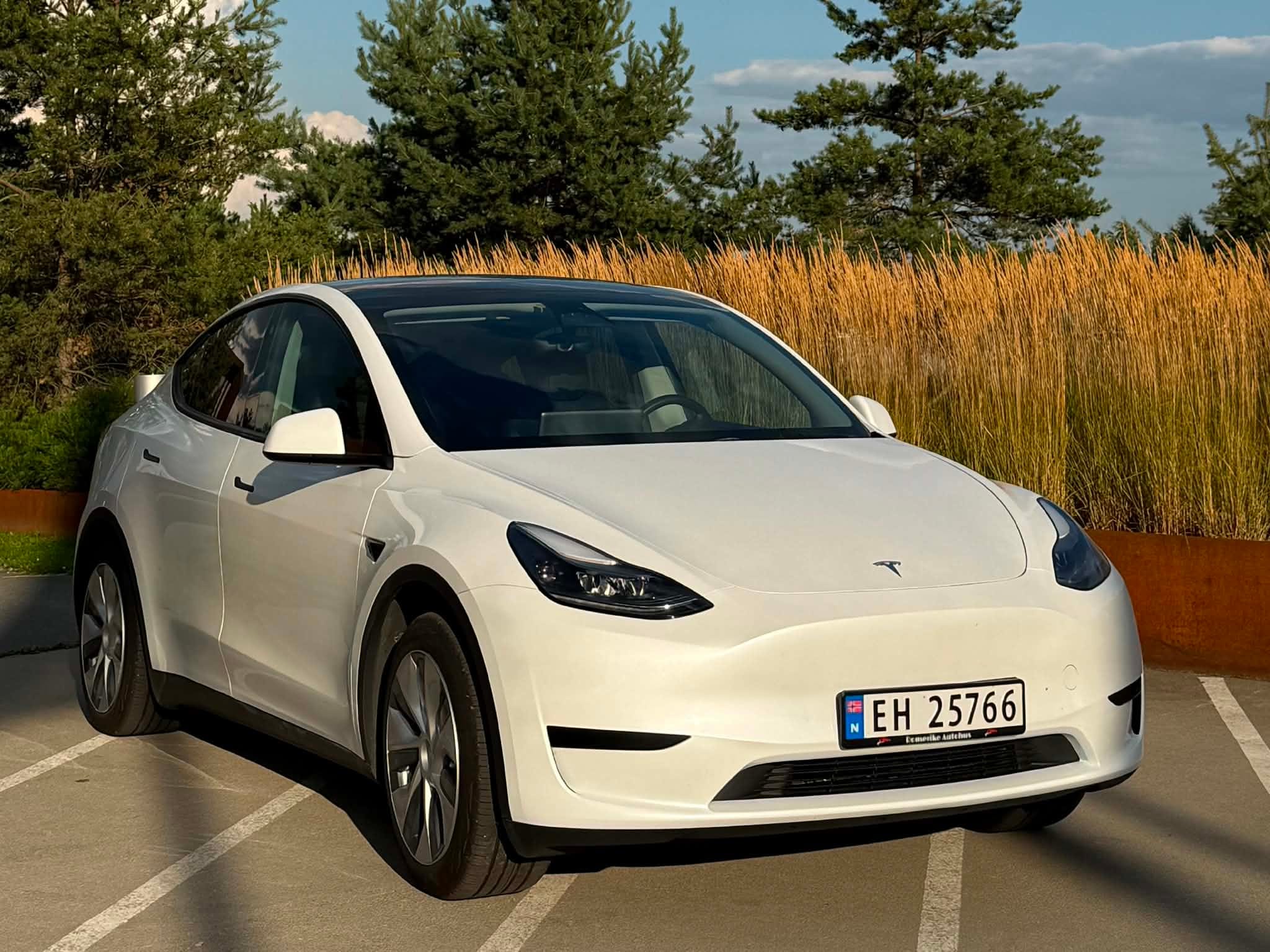 Tesla Model Y, 2023, Elektrisk, automatisk