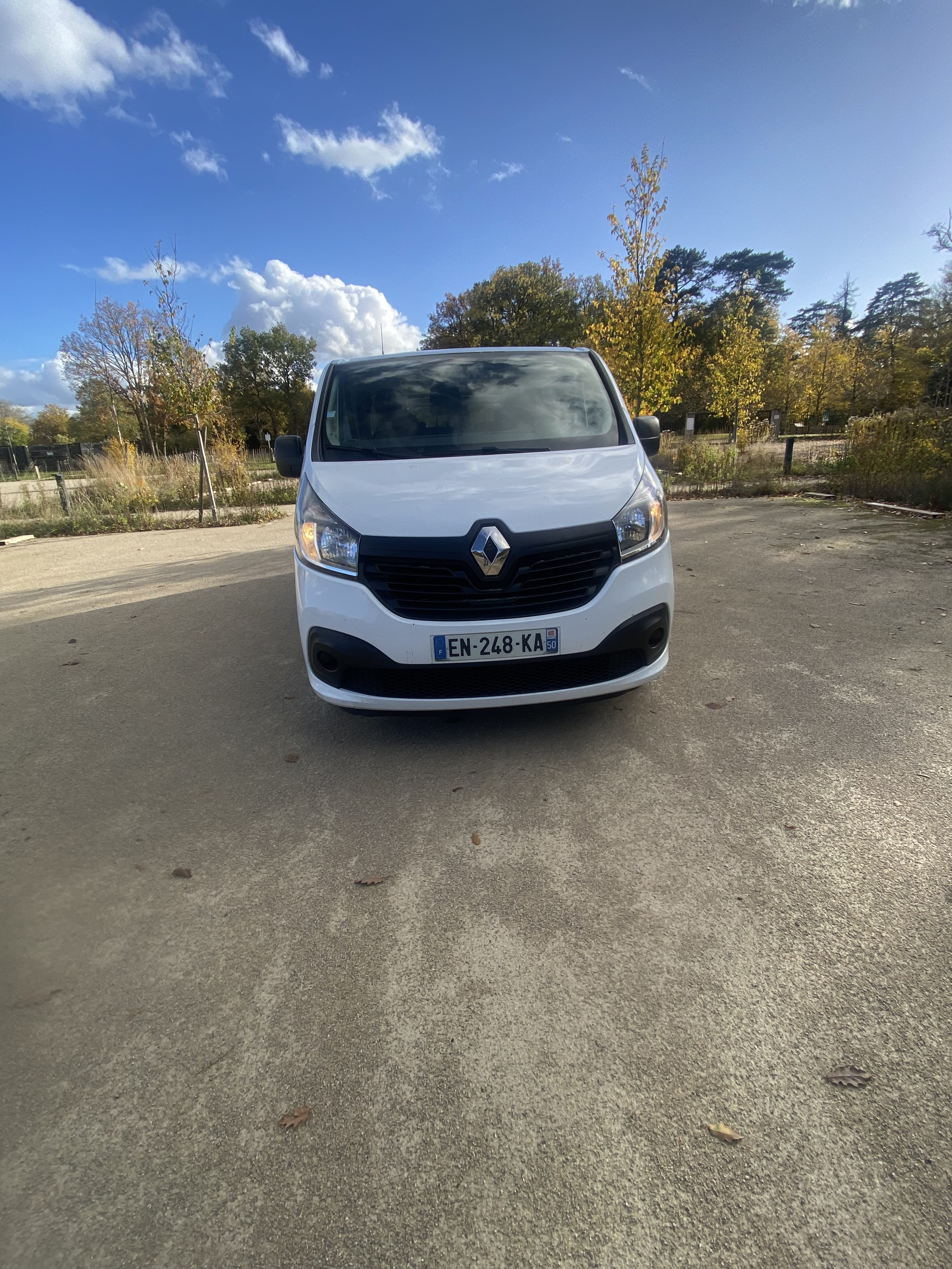Renault Trafic Passenger, 2017, Diesel, 9 places et plus