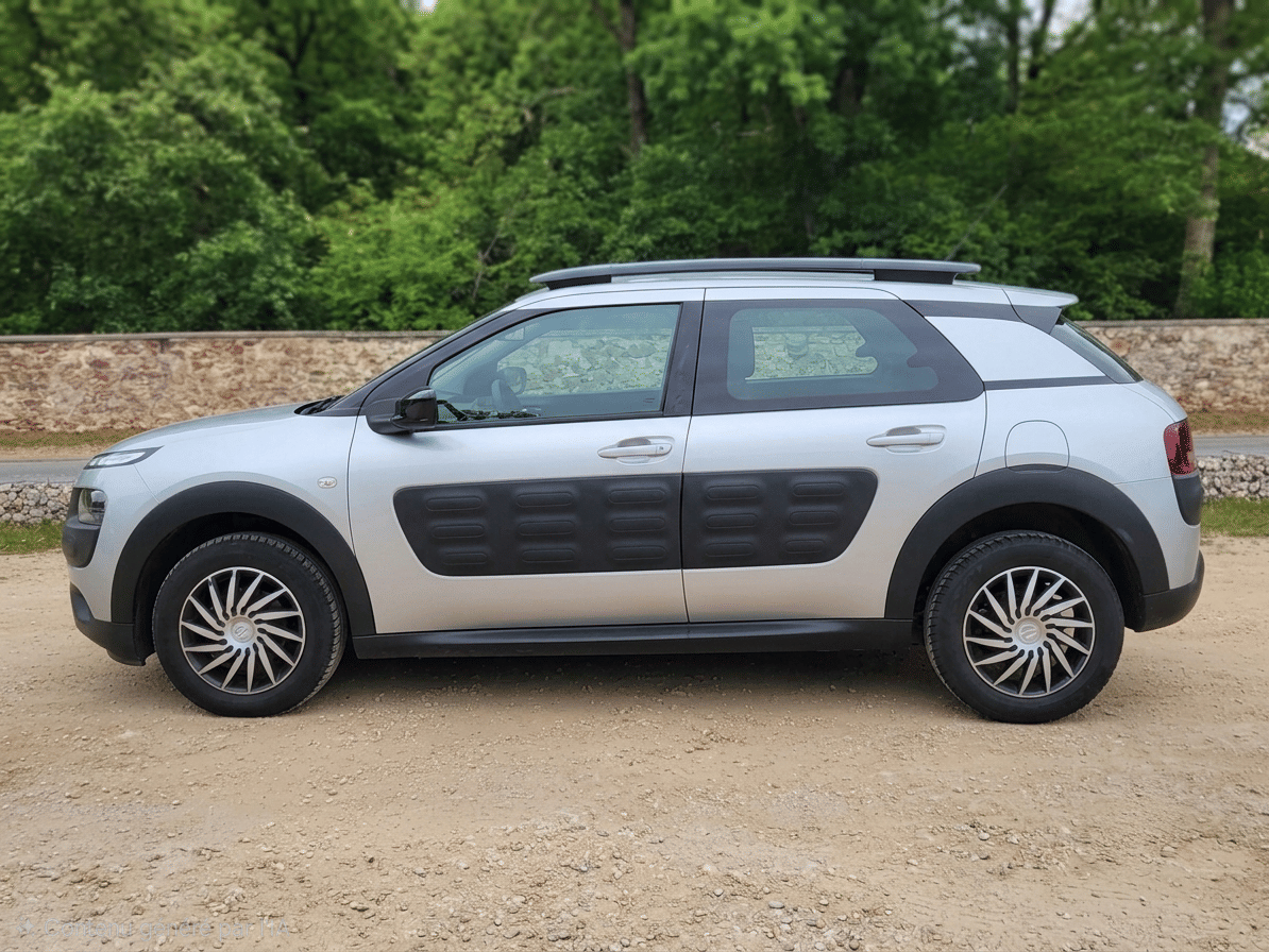 Citroen C4 Cactus avec Climatisation