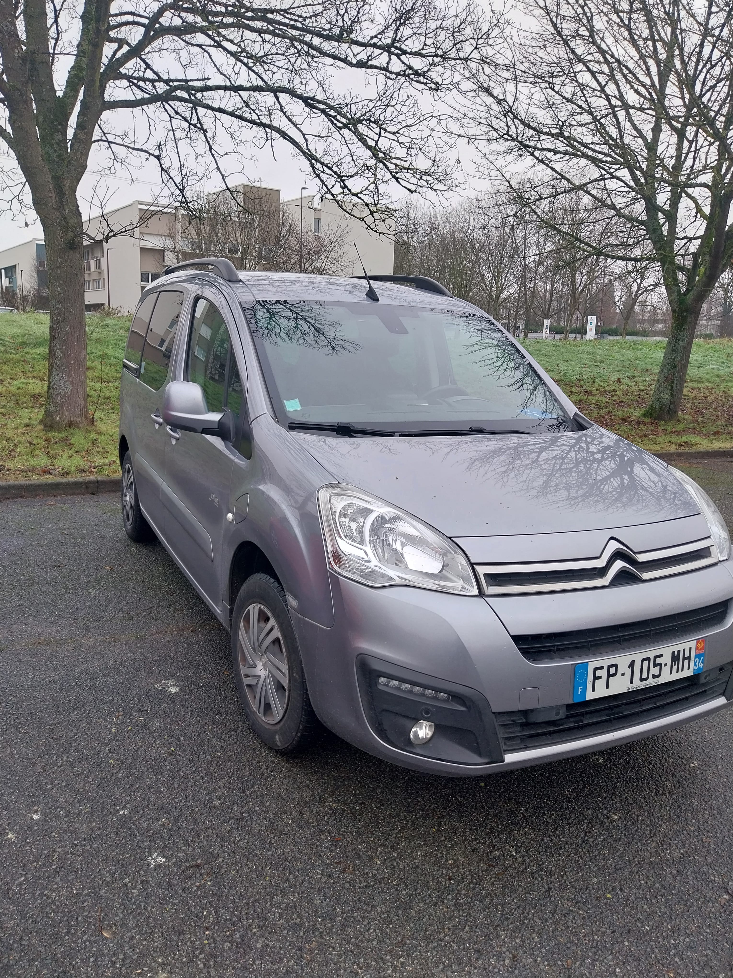 Citroen Berlingo Multispace 100% électrique M shine, 2020, Électrique, automatique