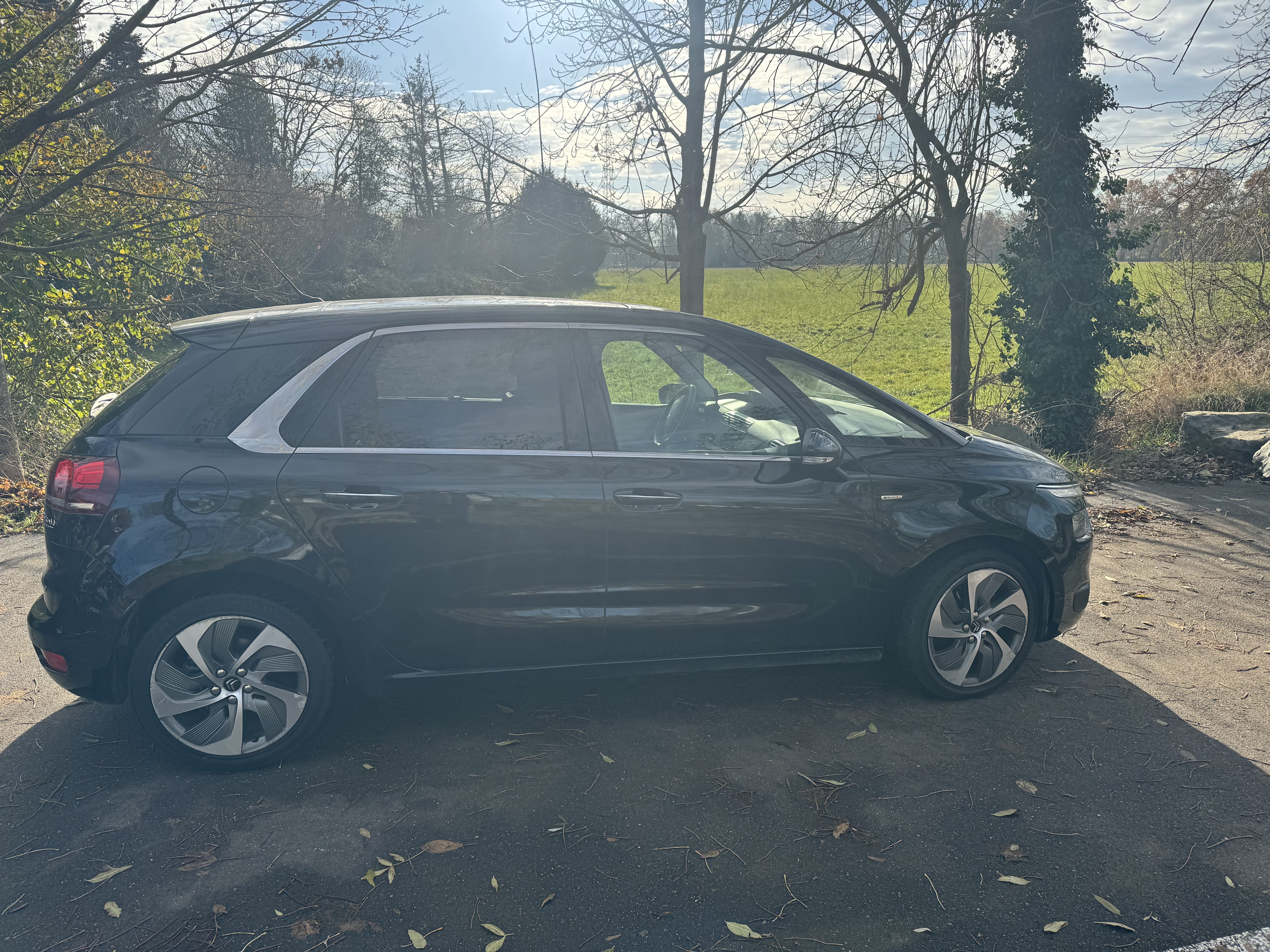 Citroen C4 Picasso 2 l. Blue HDI avec Entrée audio / iPod