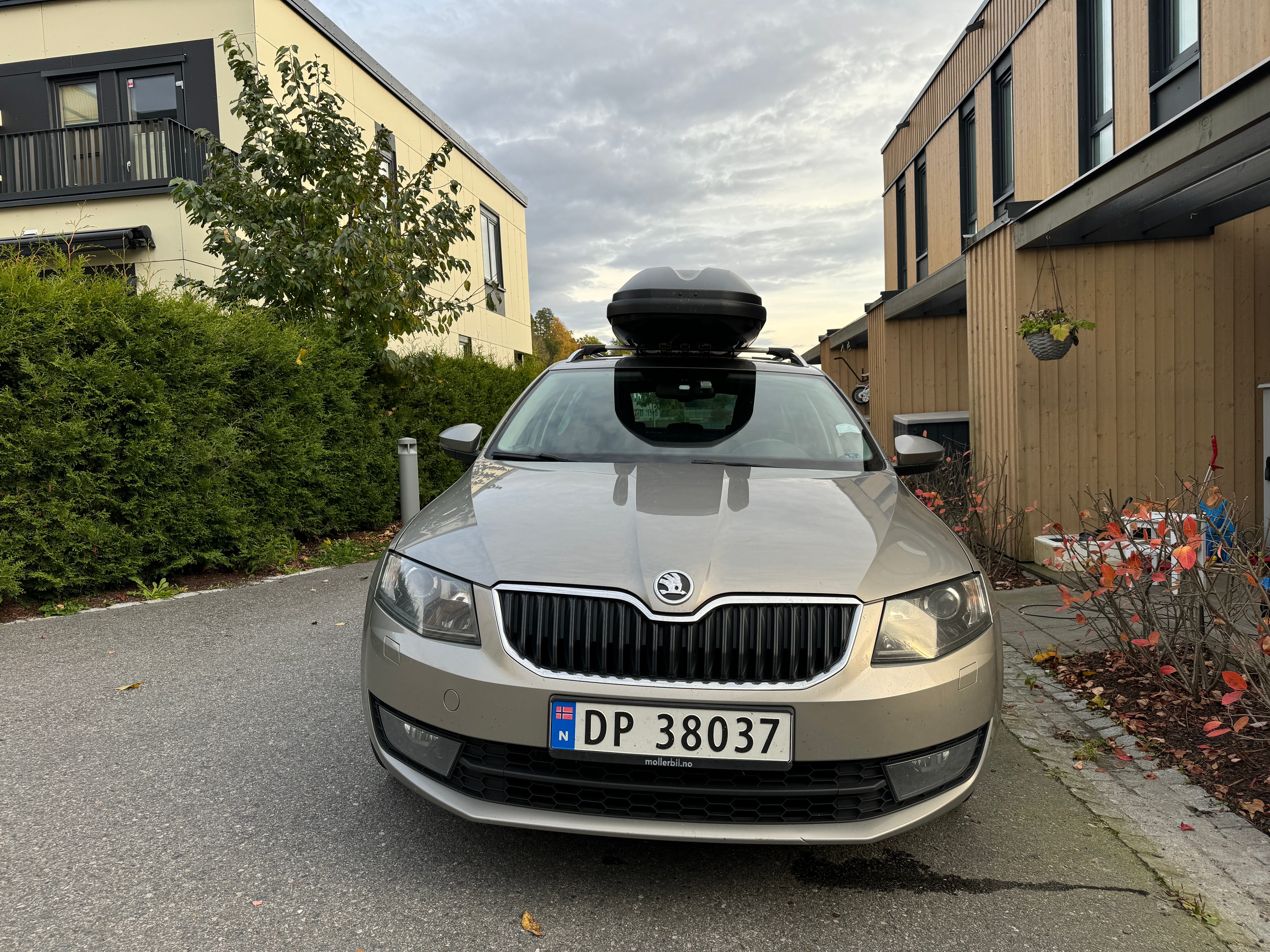 Skoda Octavia 1,6 TDI 105hk Elegance 7DSG med Skiboks