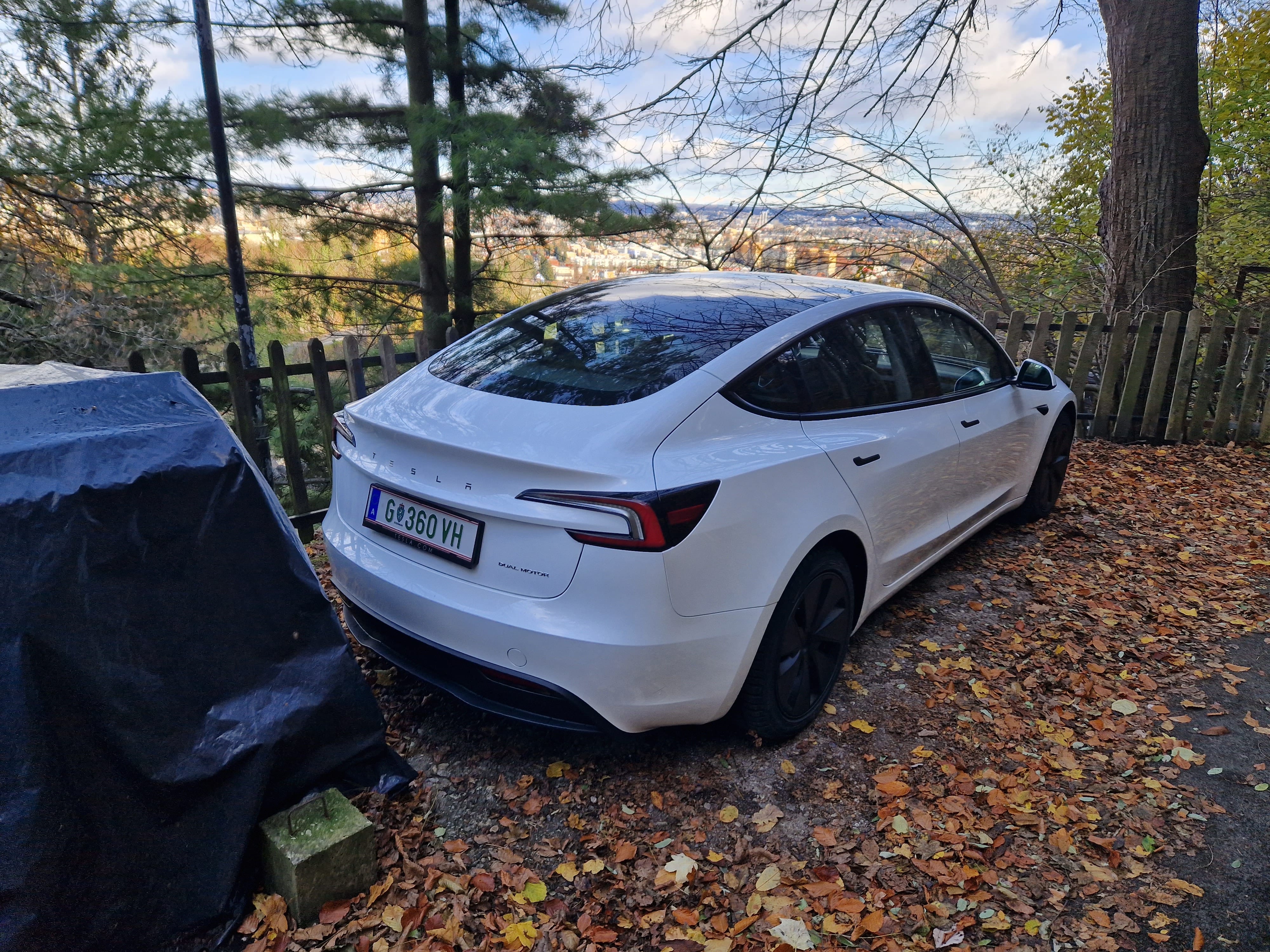 Tesla Model 3 Long Range mit Navigationsgerät