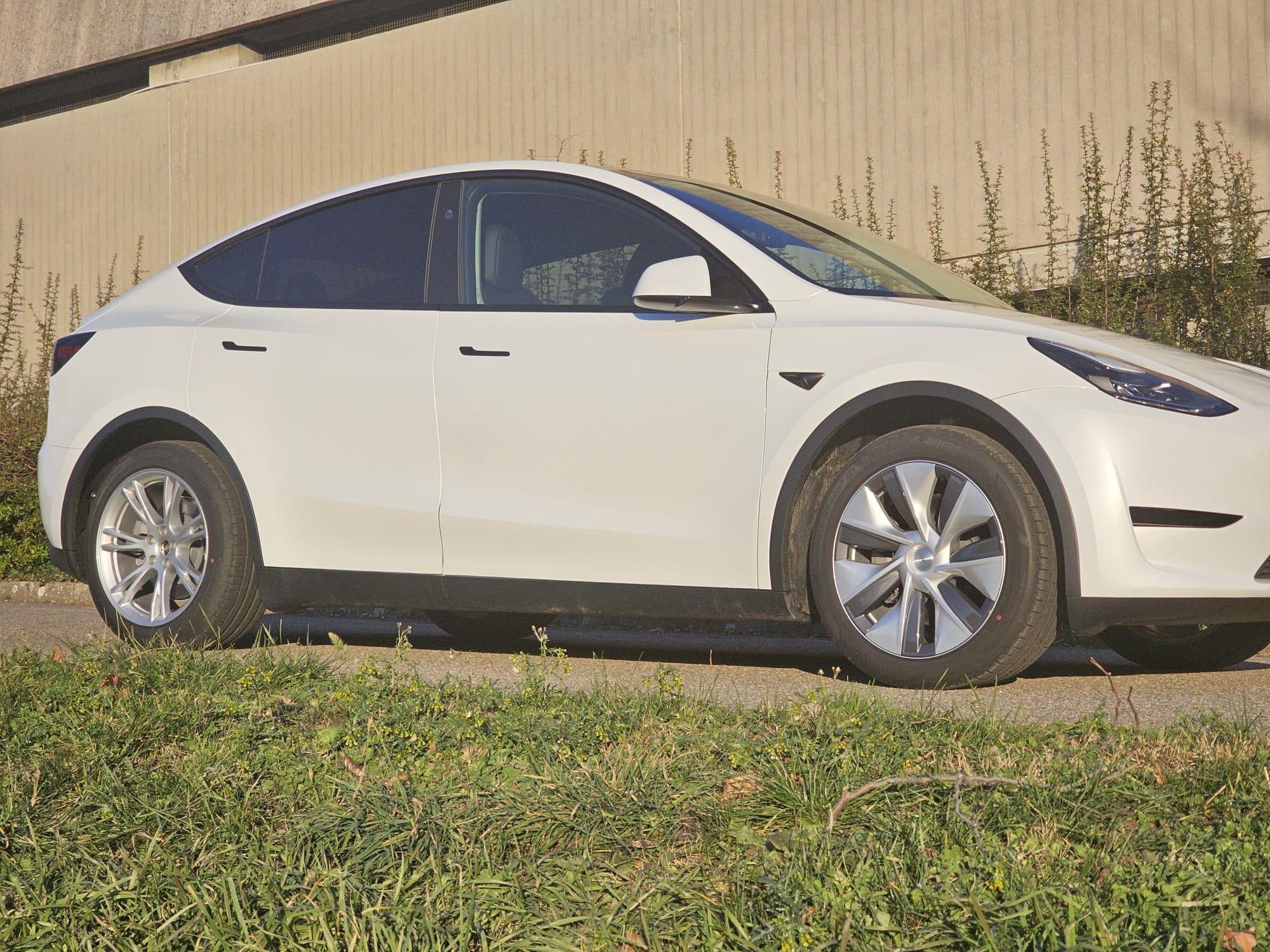 Tesla Model Y, 2024, Électrique, automatique