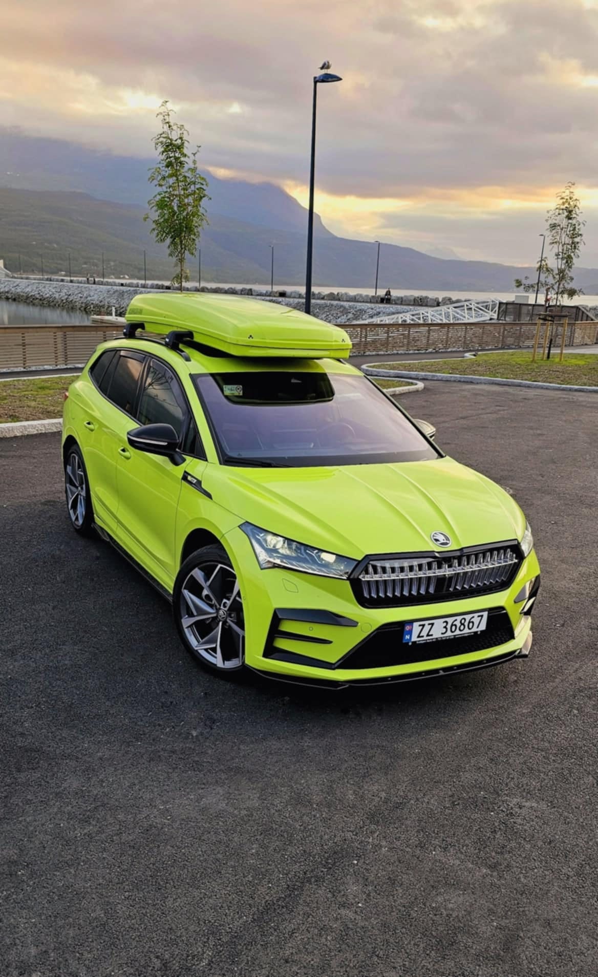 Skoda Enyaq RS 4x4 vRS, 2024, Electric, automatic