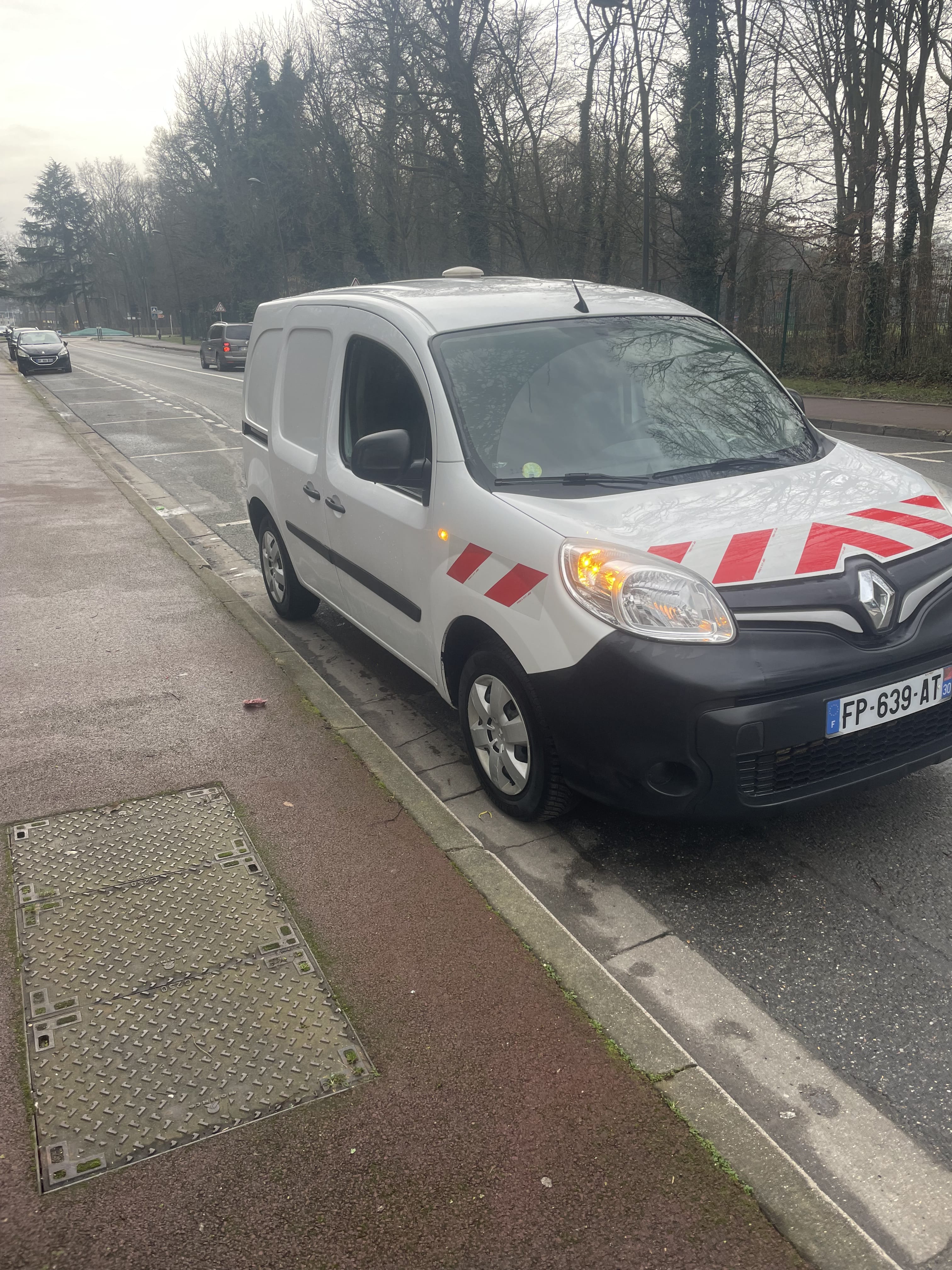 Renault Kangoo Fourgon