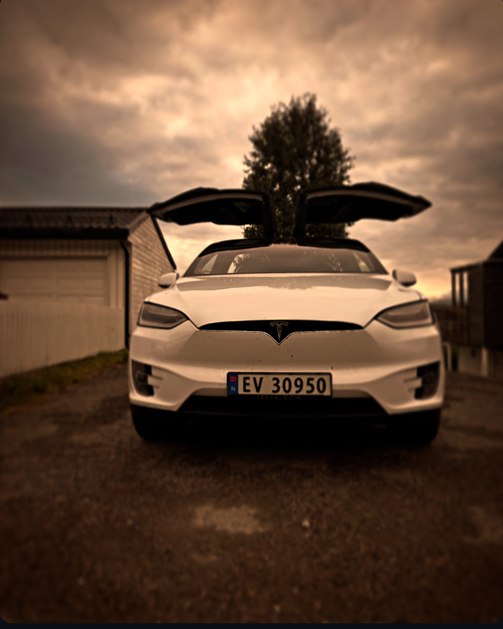 Tesla Model X, 2019, Elektrisch, automatisch