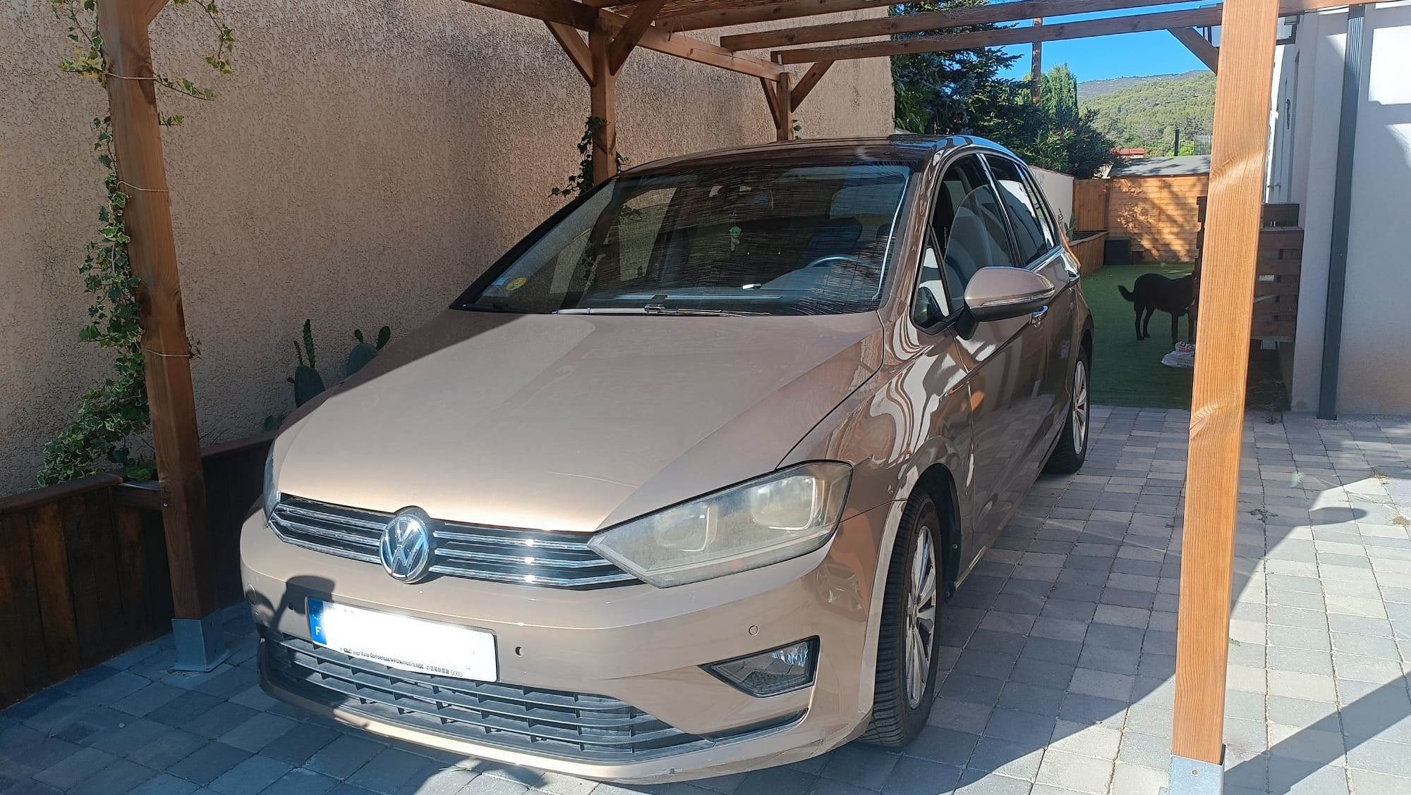 Volkswagen Golf Sportsvan, 2014, Diesel