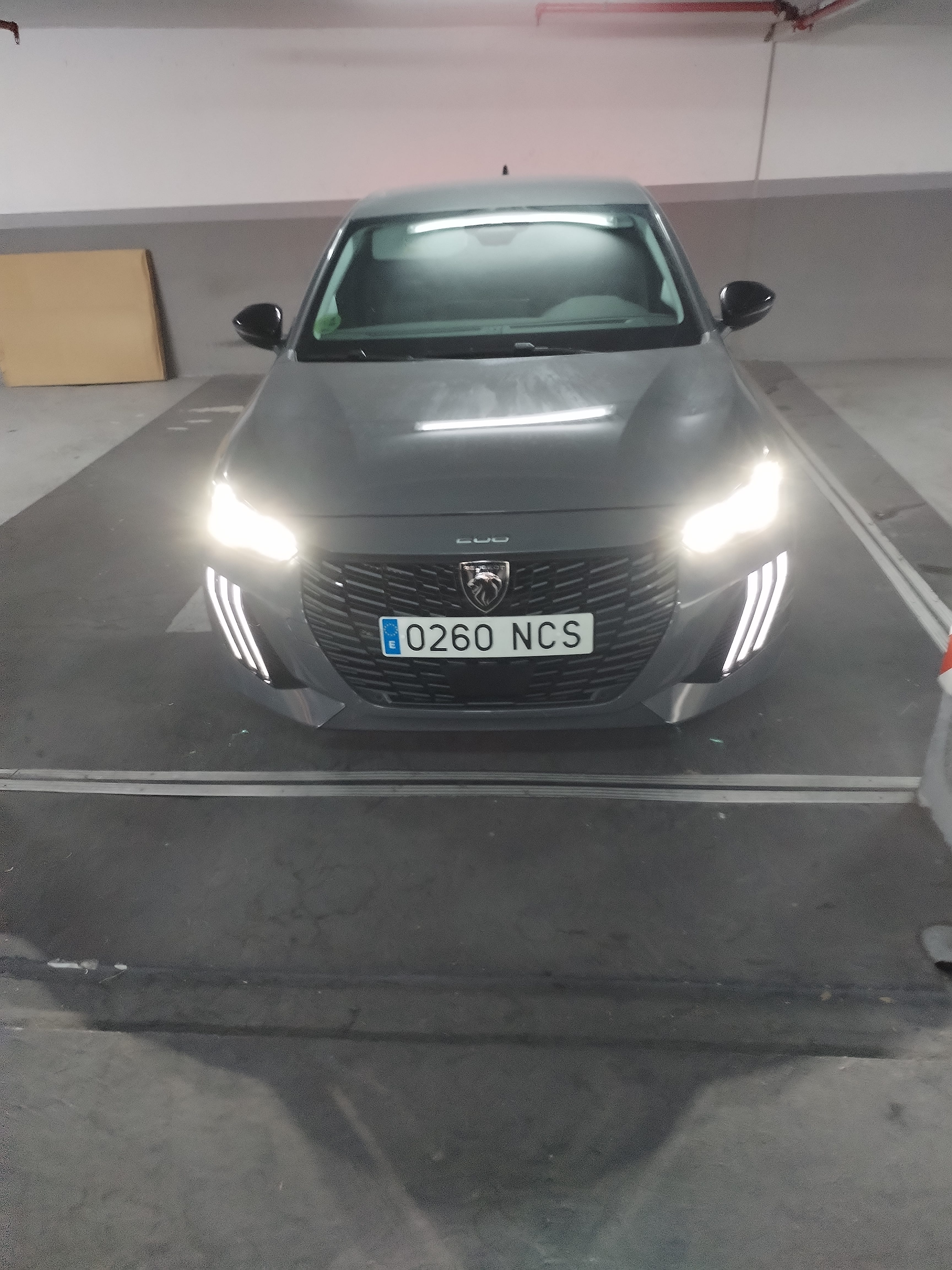 Peugeot 208 with GPS