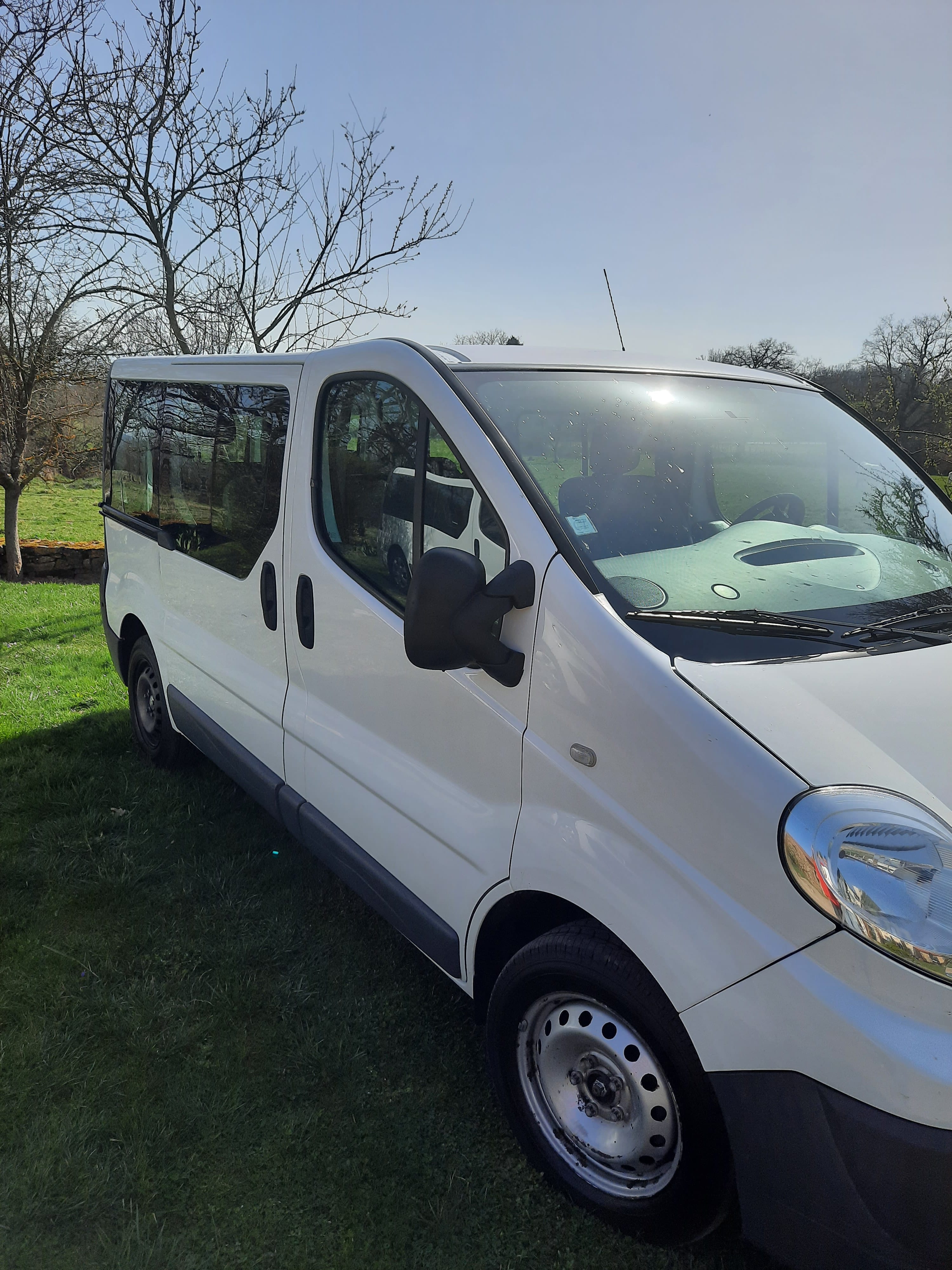 Renault Trafic, 2010, Diesel, 9 places et plus