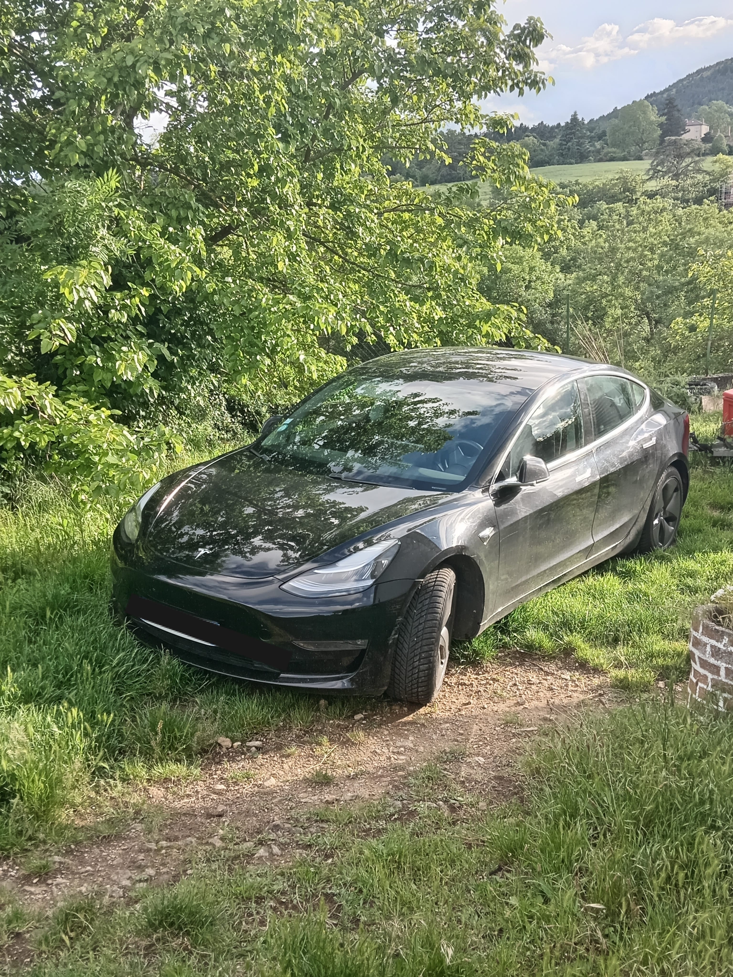 Tesla Model 3 Électrique, 2019, Électrique, automatique