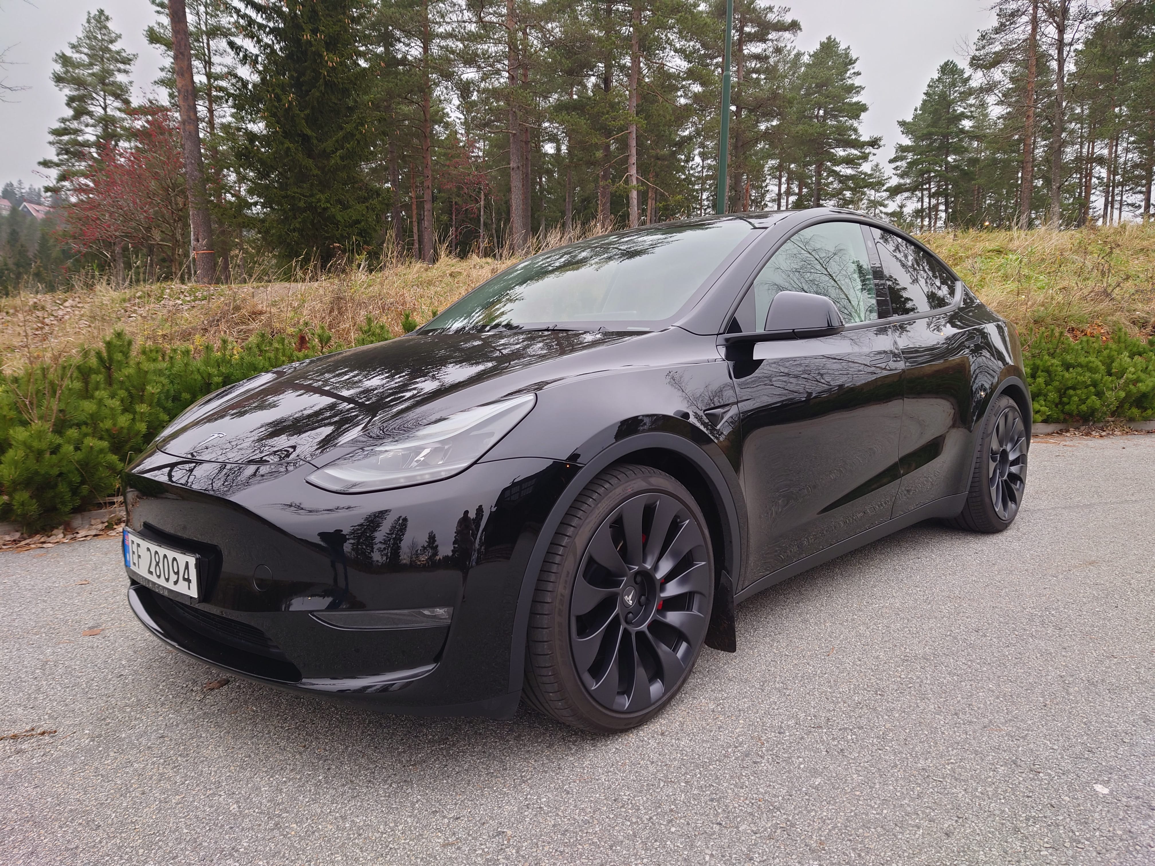 Tesla Model Y Performance, 2022, Elektro, Automatik