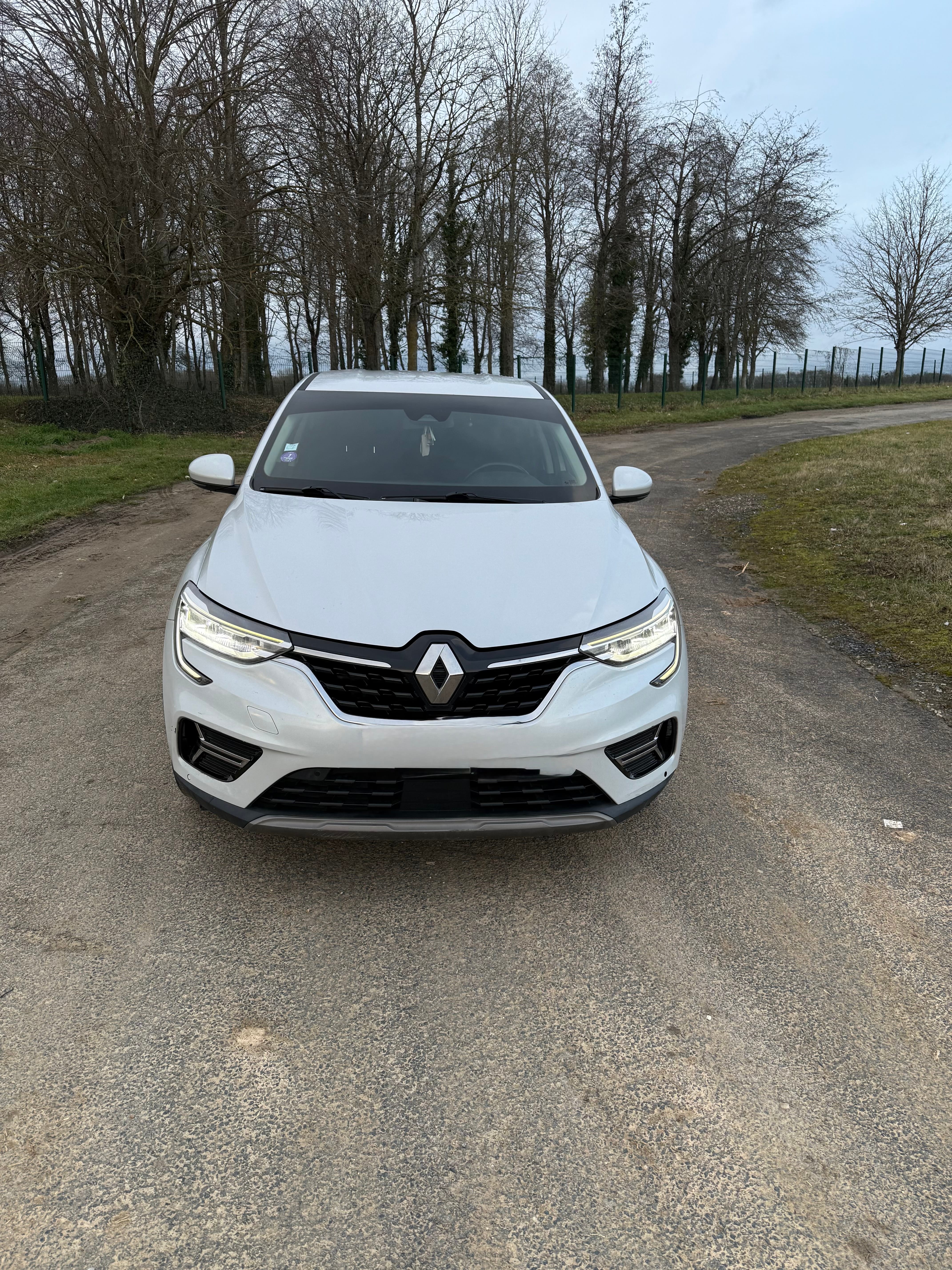 Renault Arkana E-Tech, 2021, Essence 95 / Électrique (hybride), automatique