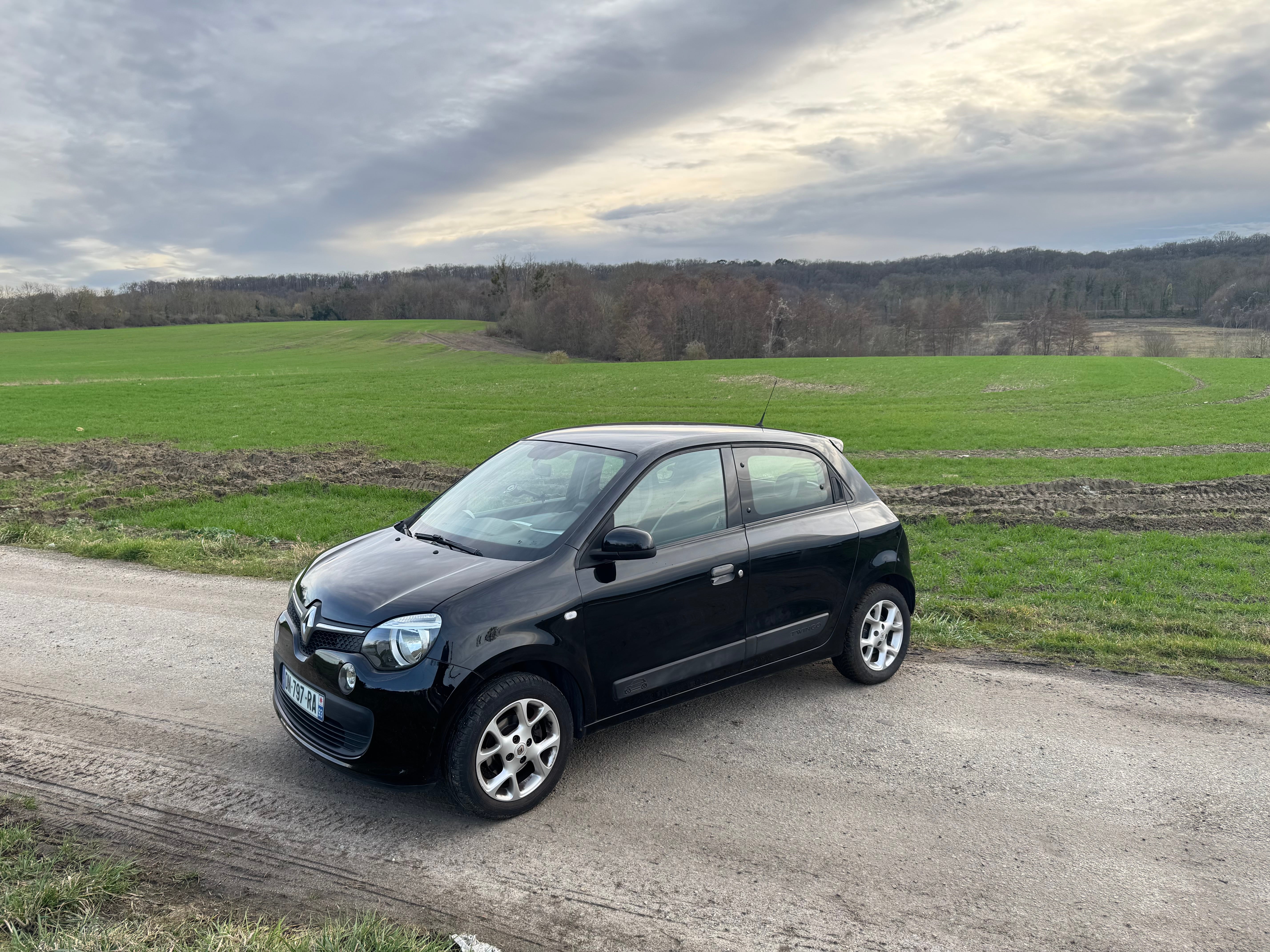 Renault Twingo III économique  Faible conso & facile à garer, 2015, Essence 95