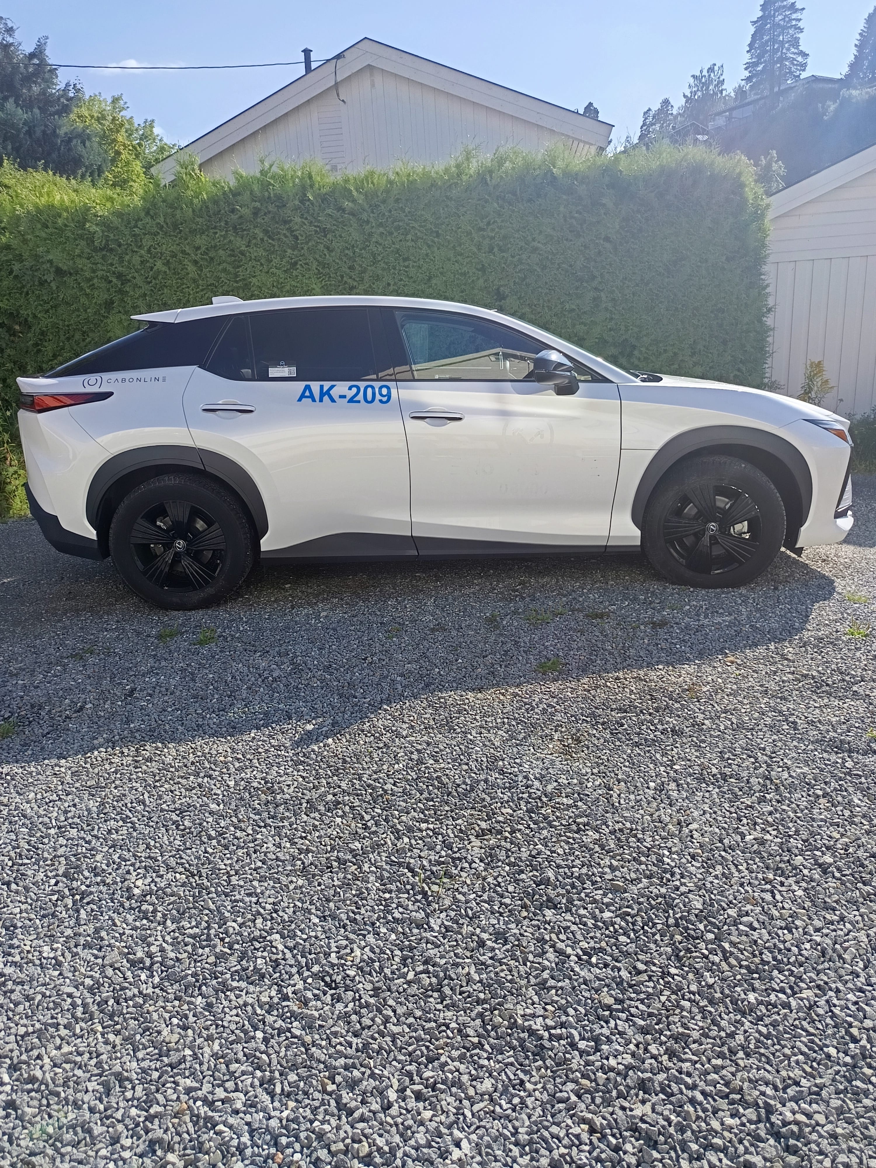 Lexus RZ 450e Executive with Air conditioning