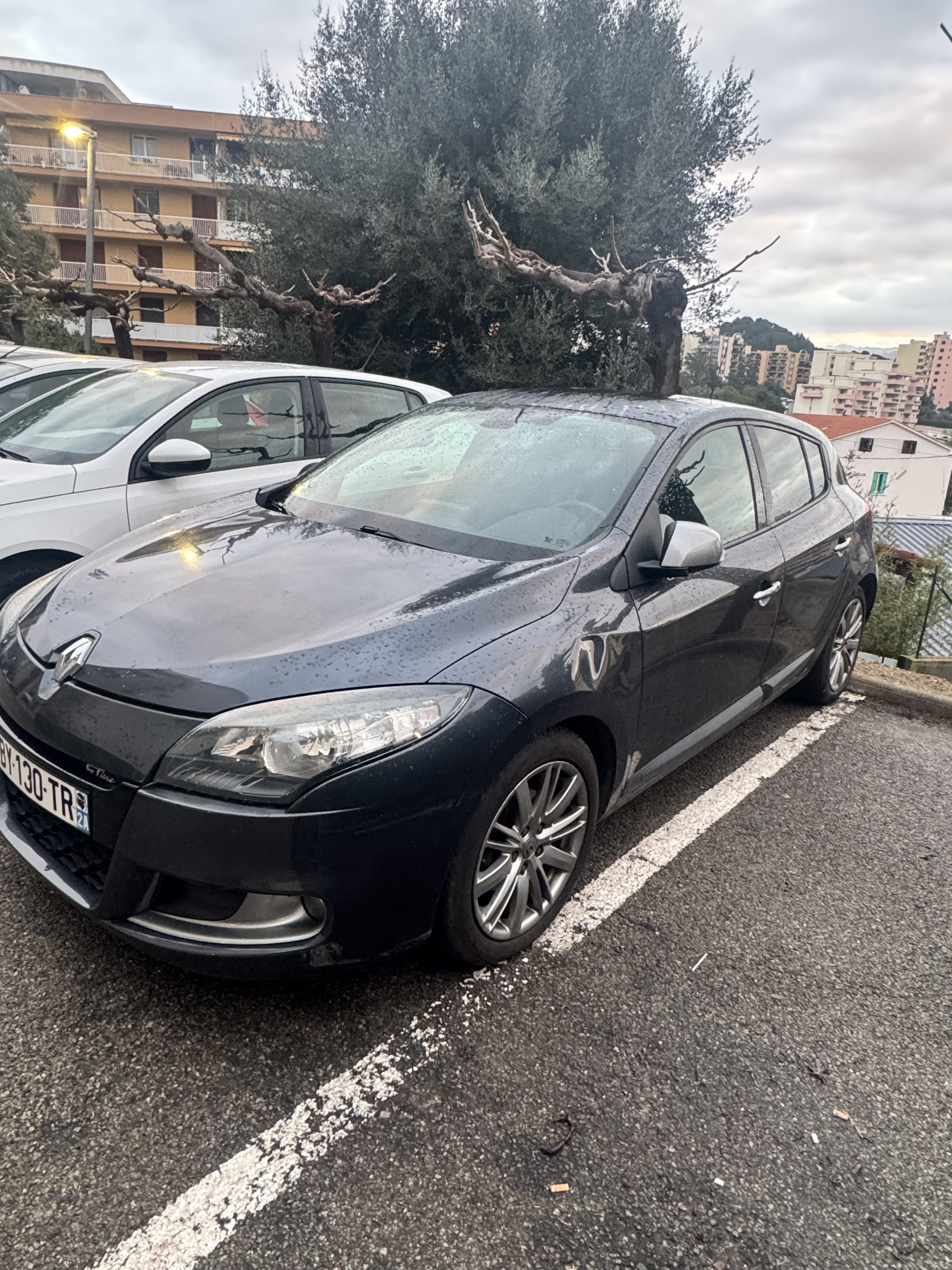 Renault Mégane with GPS