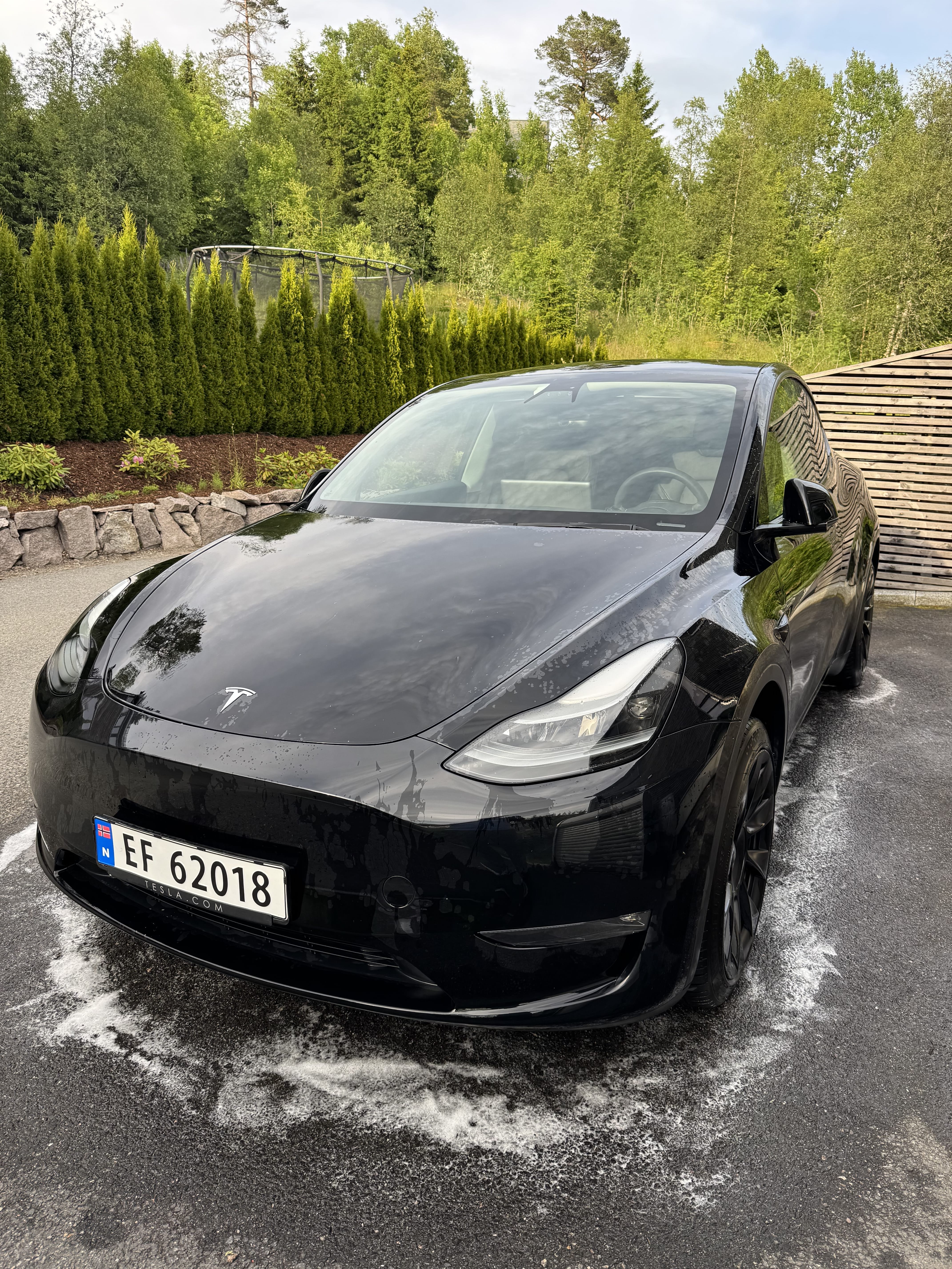 Tesla Model Y, 2023, Electric, automatic