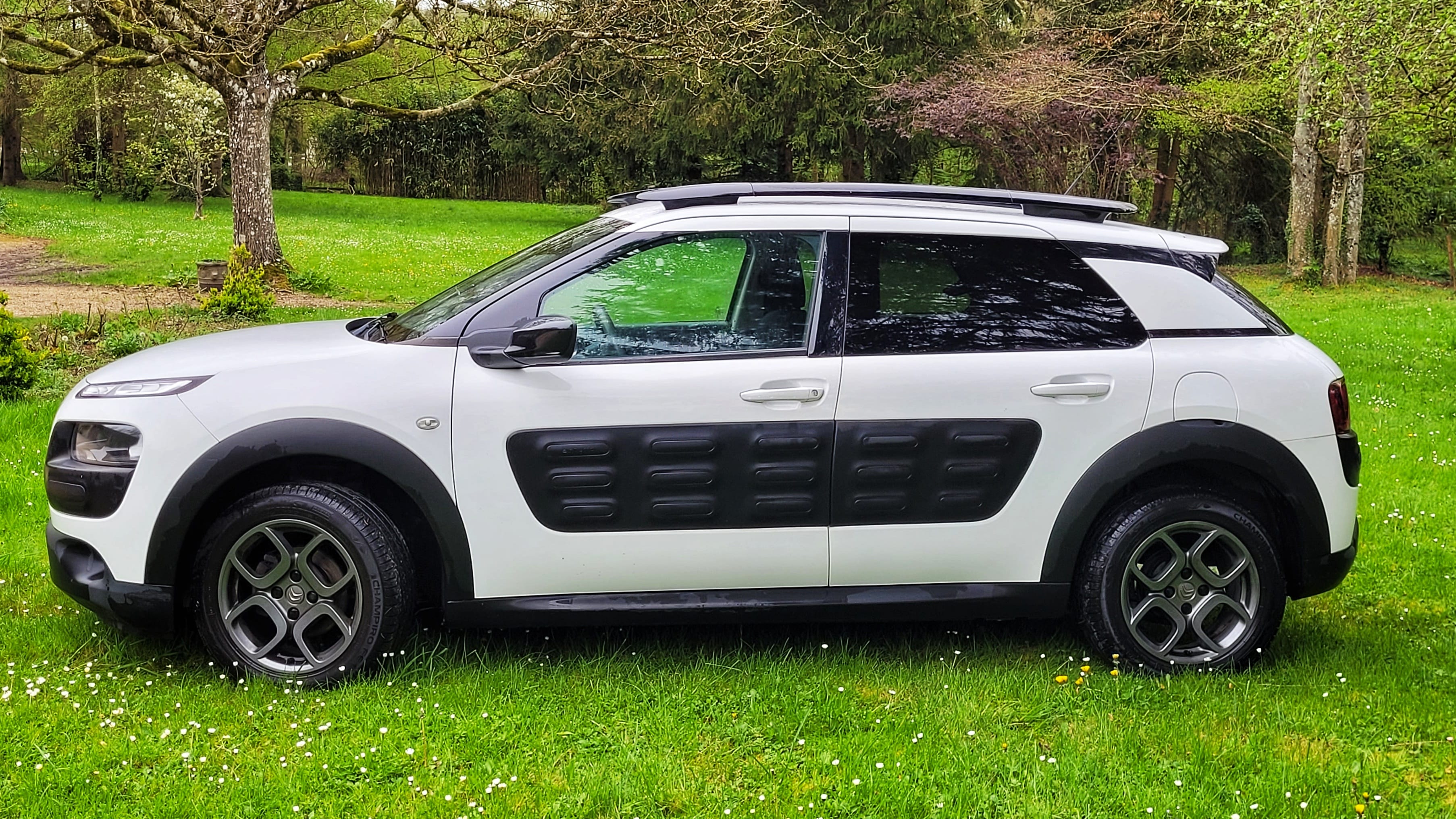 Citroen C4 Cactus avec Climatisation