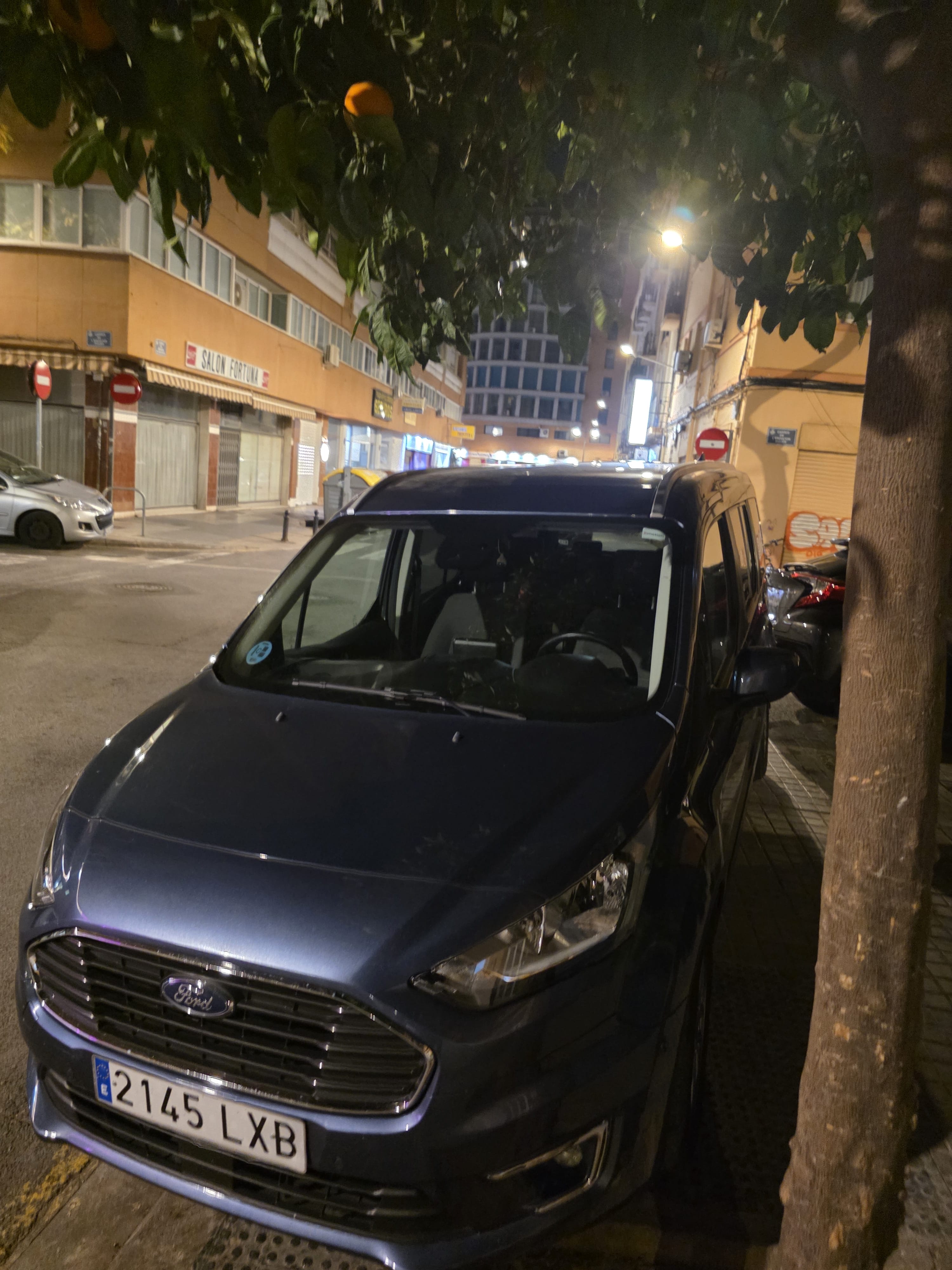 Ford Grand Tourneo Connect Utilitaire, 2022, Diesel, 7 zitplaatsen