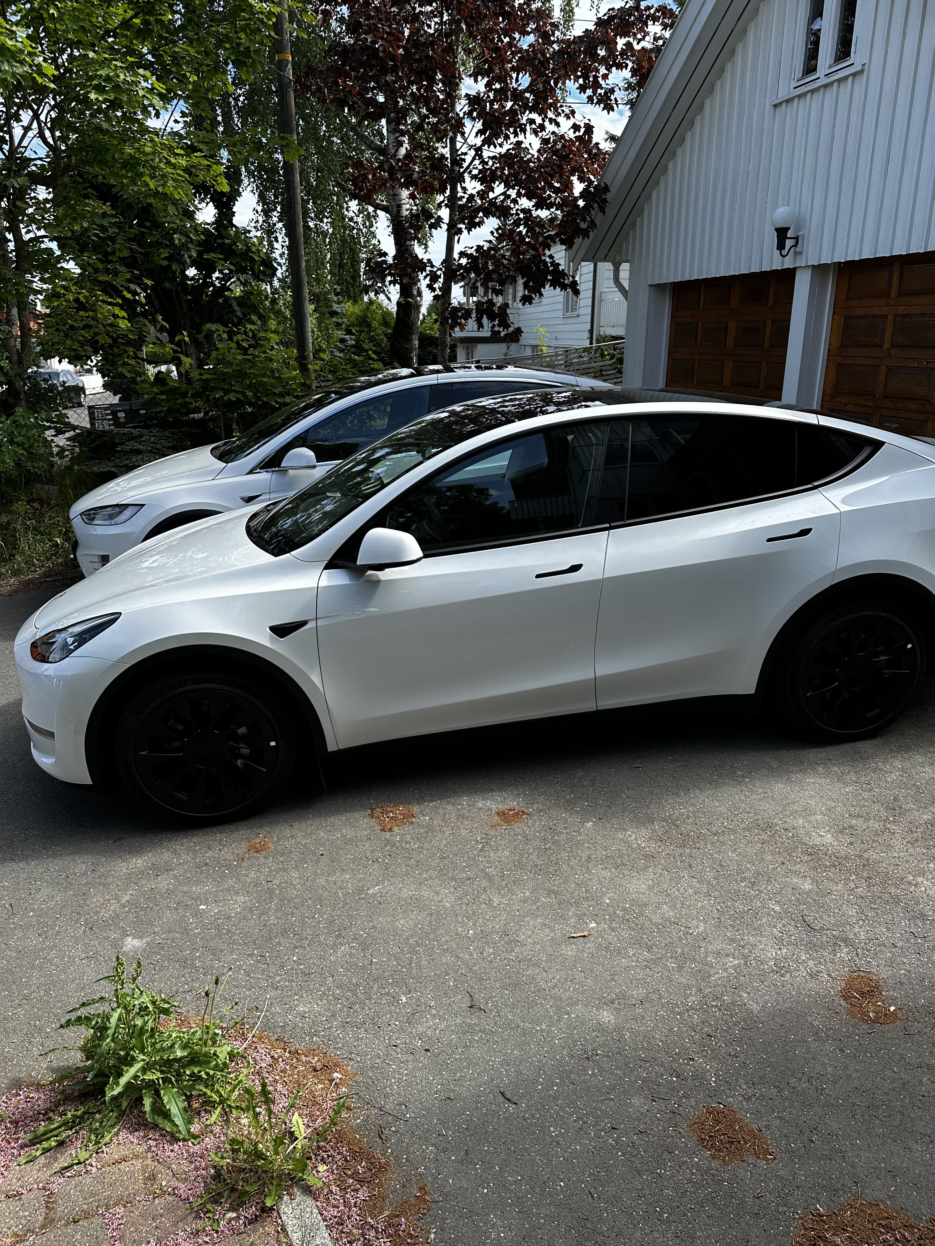 Tesla Model Y, 2023, Elektrisk, automatisk