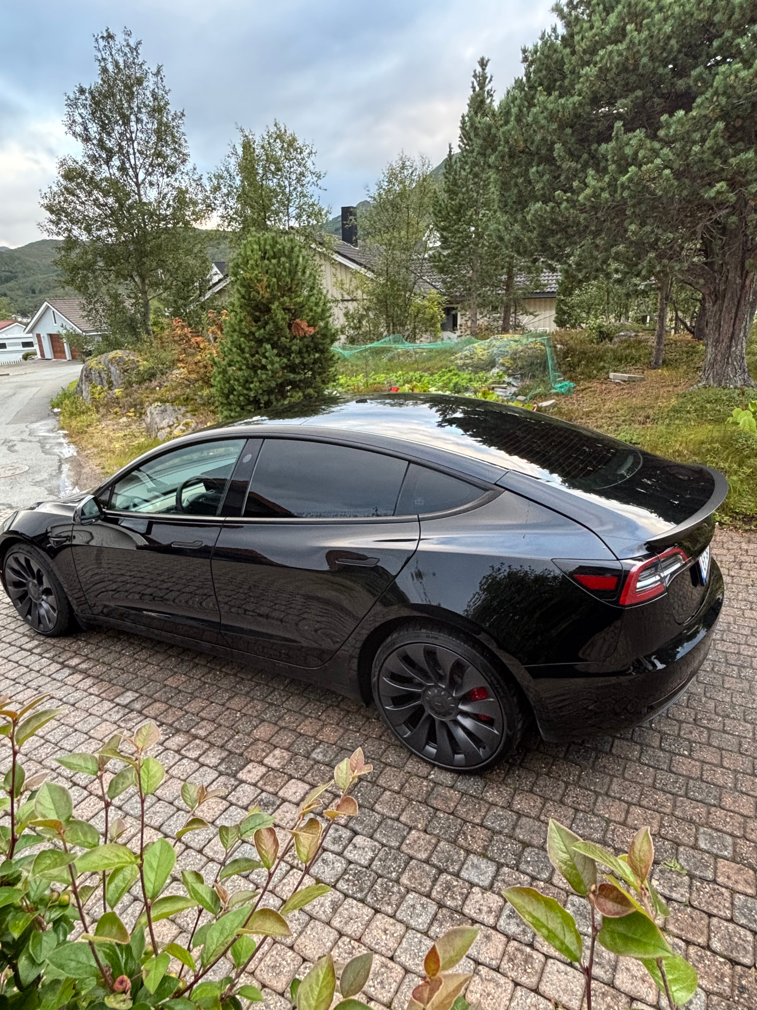 Tesla Model 3 Performance, 2023, Elektrisk, automatisk